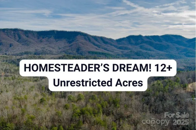 00 Jarrell Loop, Old Fort, NC, 28762