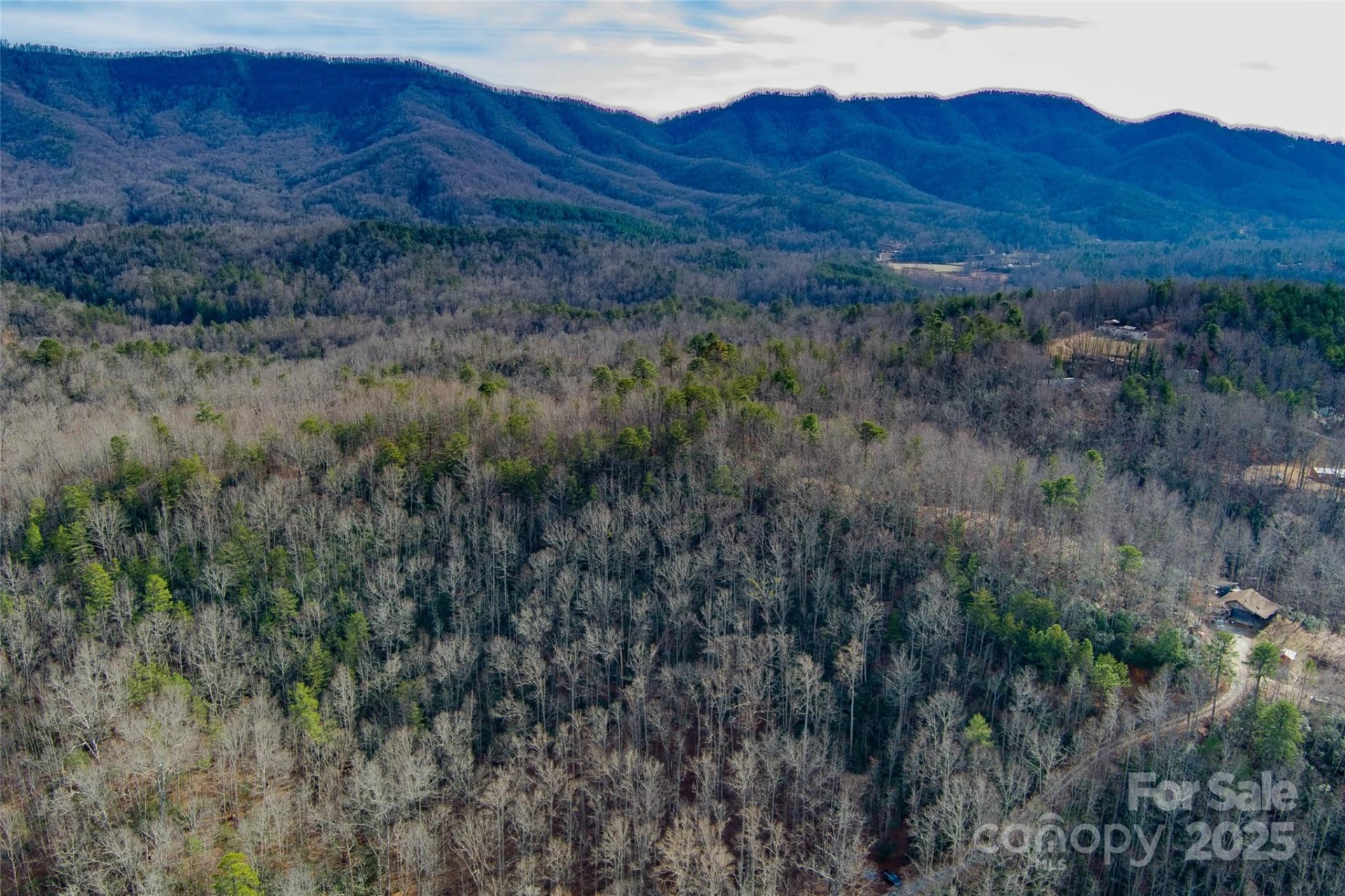 00 Jarrell Loop - Photo 11