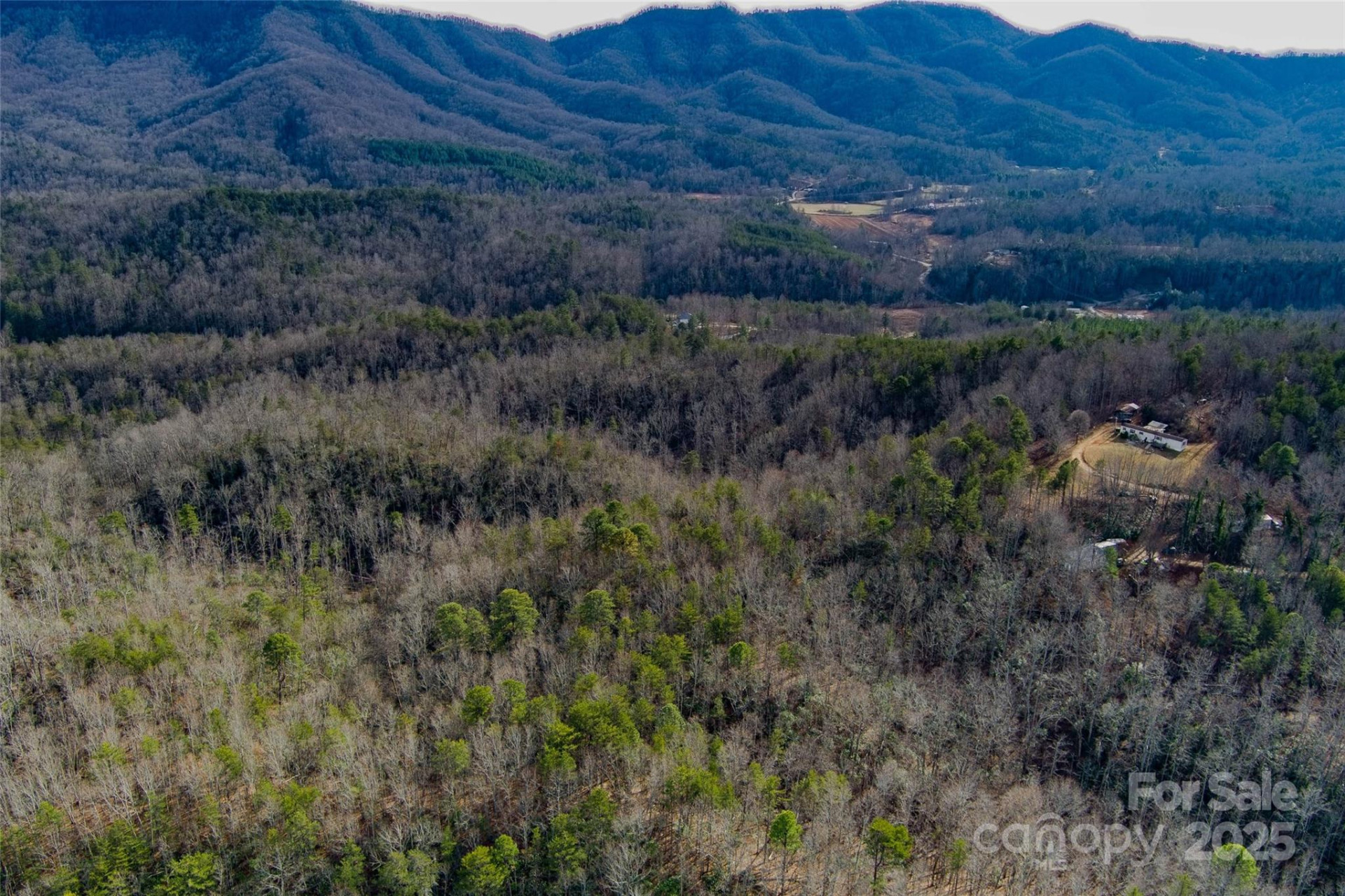 00 Jarrell Loop - Photo 12