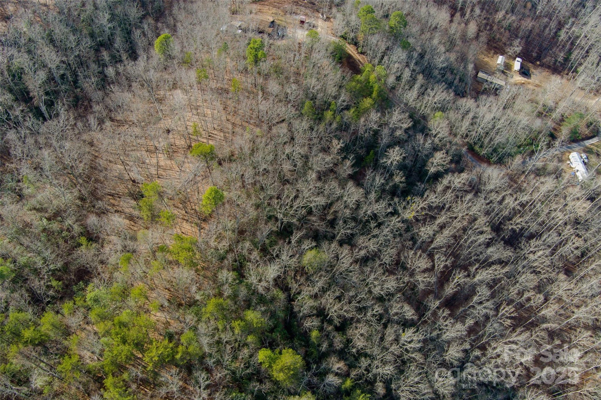 00 Jarrell Loop - Photo 13