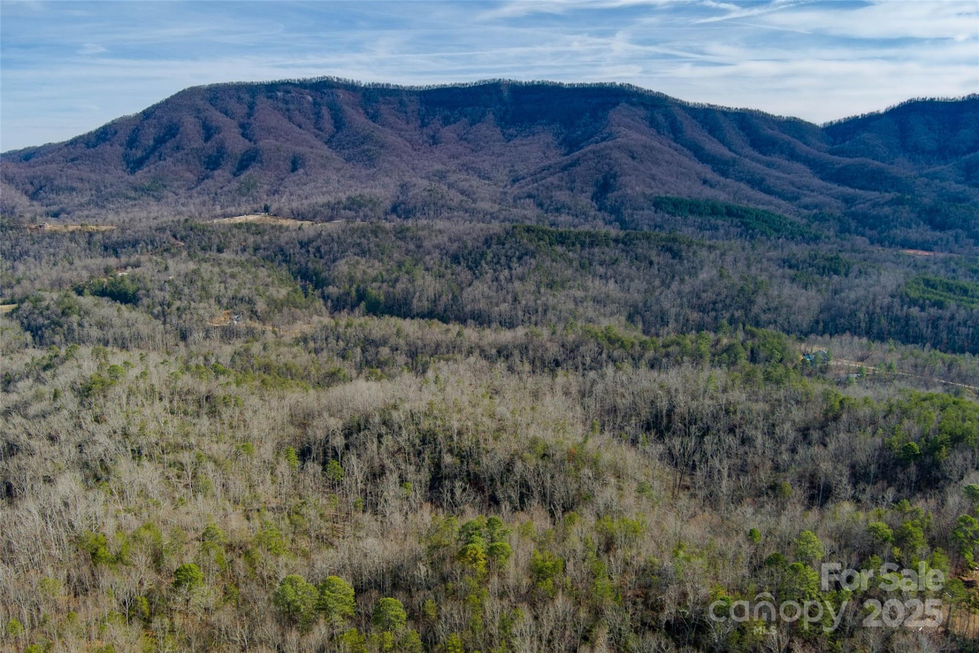 00 Jarrell Loop - Photo 14