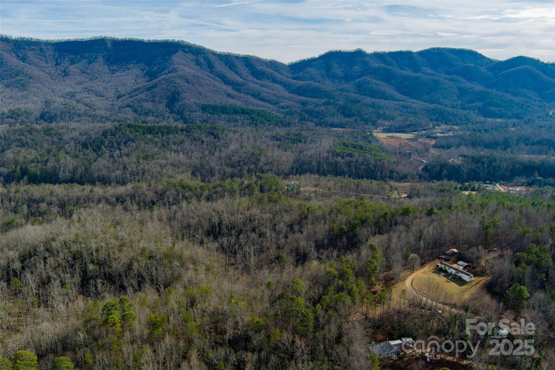 00 Jarrell Loop - Photo 16