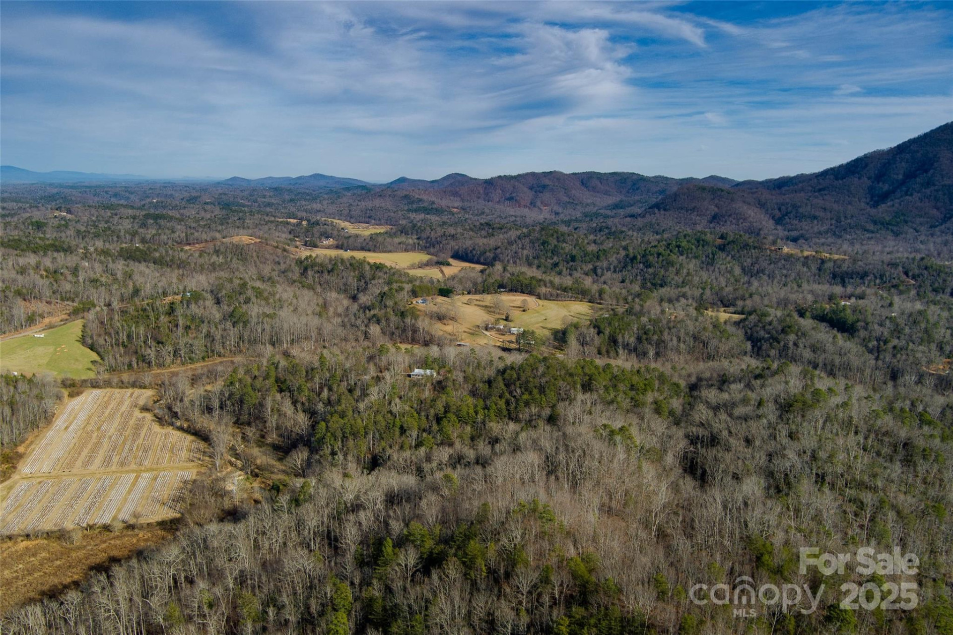 00 Jarrell Loop - Photo 17