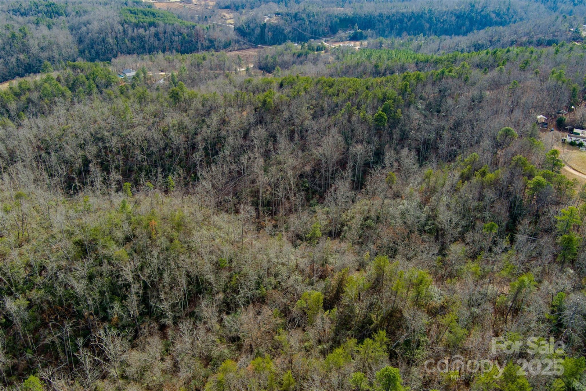 00 Jarrell Loop - Photo 19