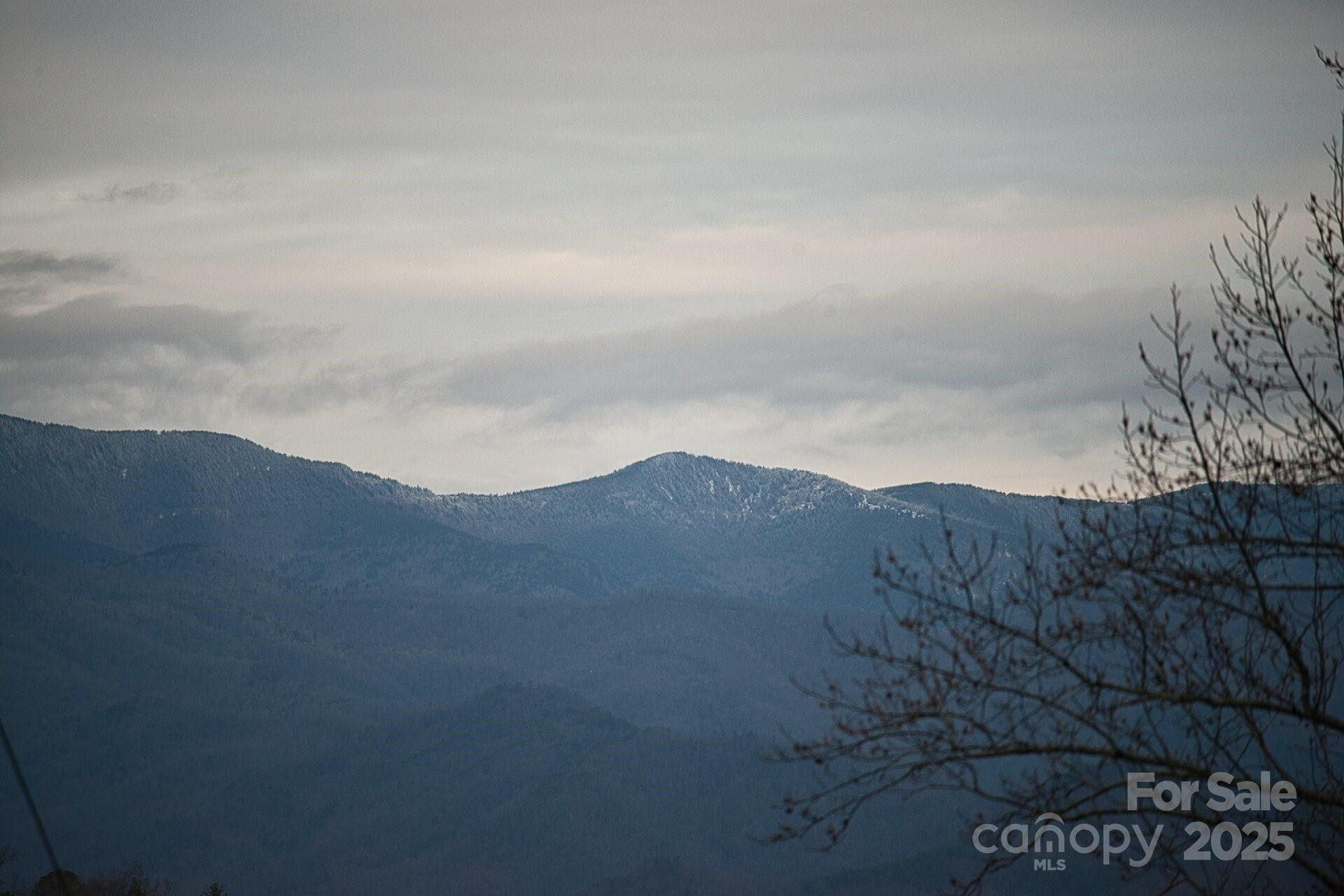 00 Jarrell Loop - Photo 3