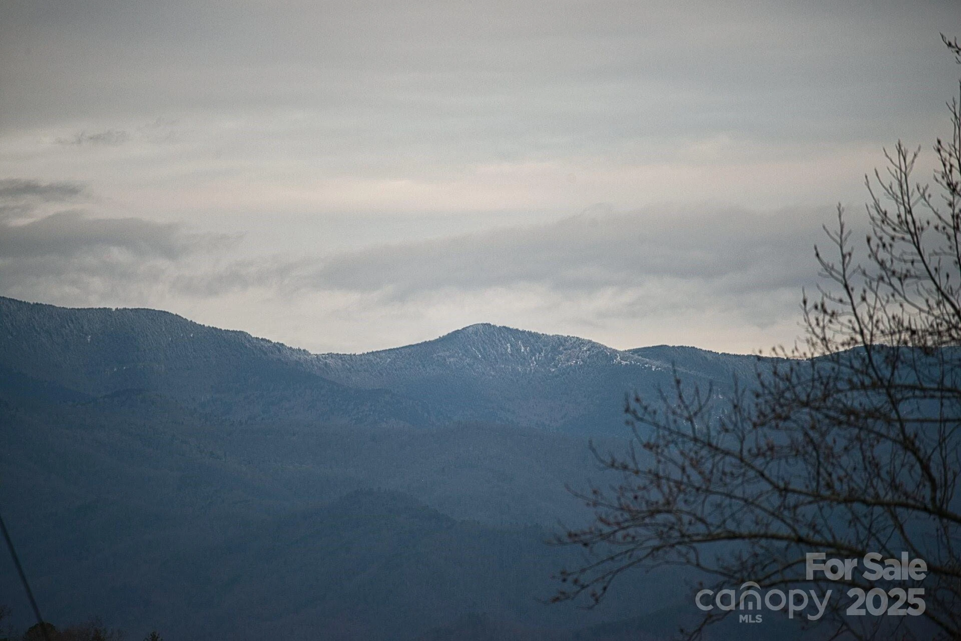 00 Jarrell Loop - Photo 3