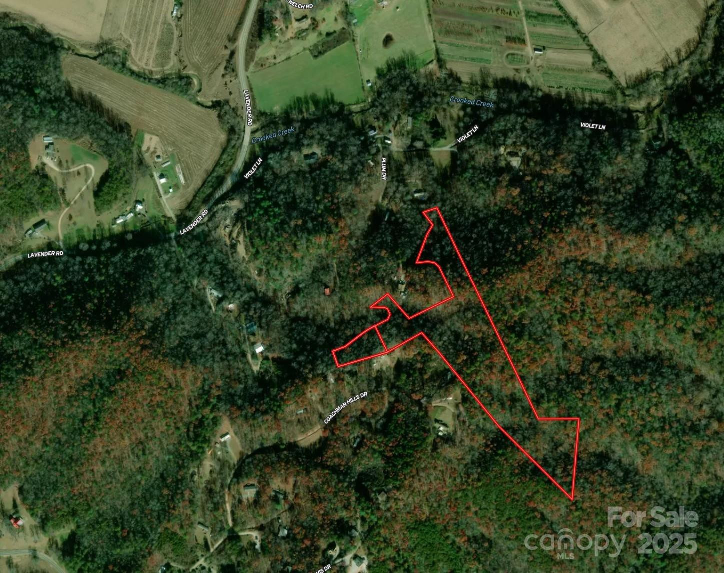 00 Jarrell Loop - Photo 5