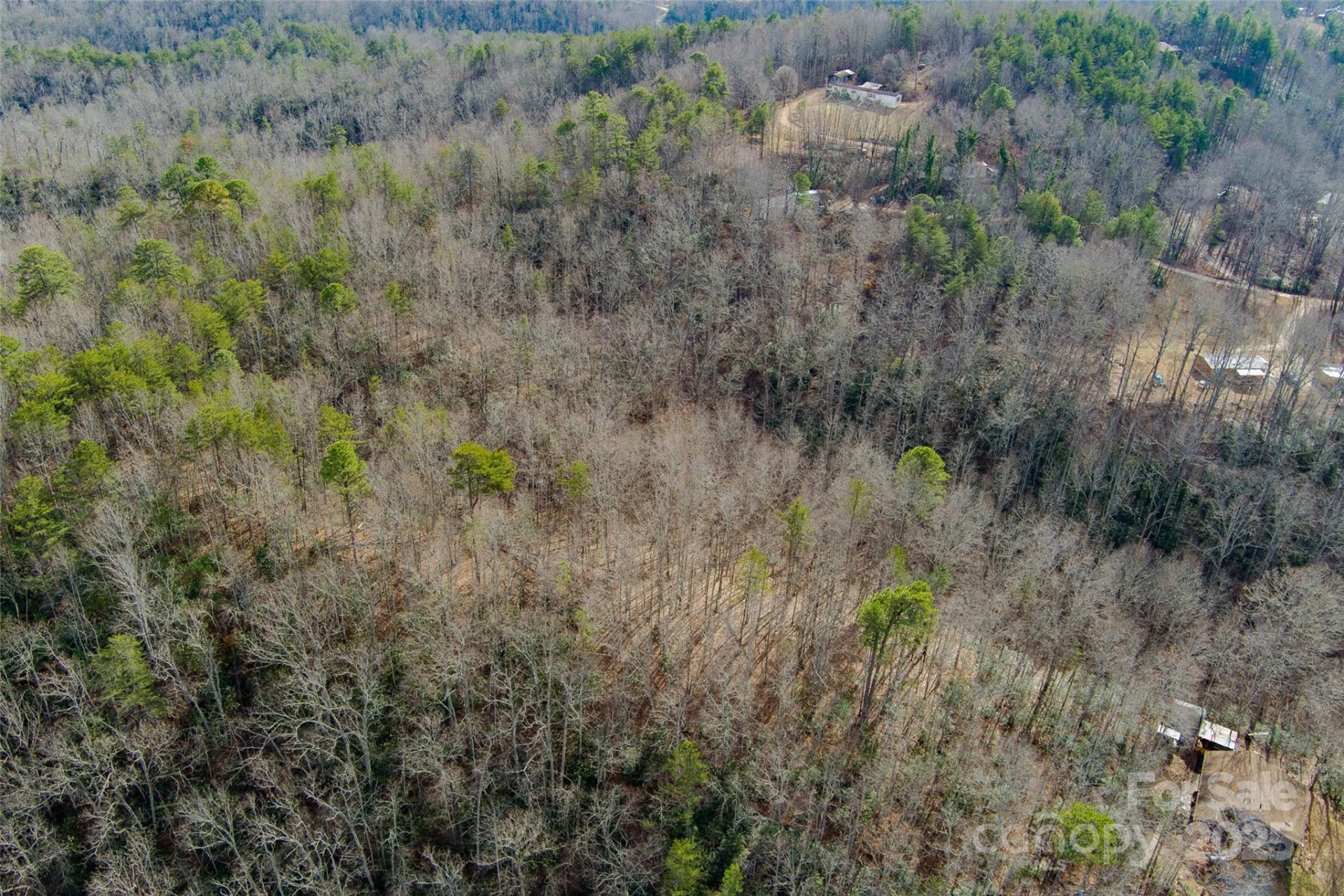 00 Jarrell Loop - Photo 9