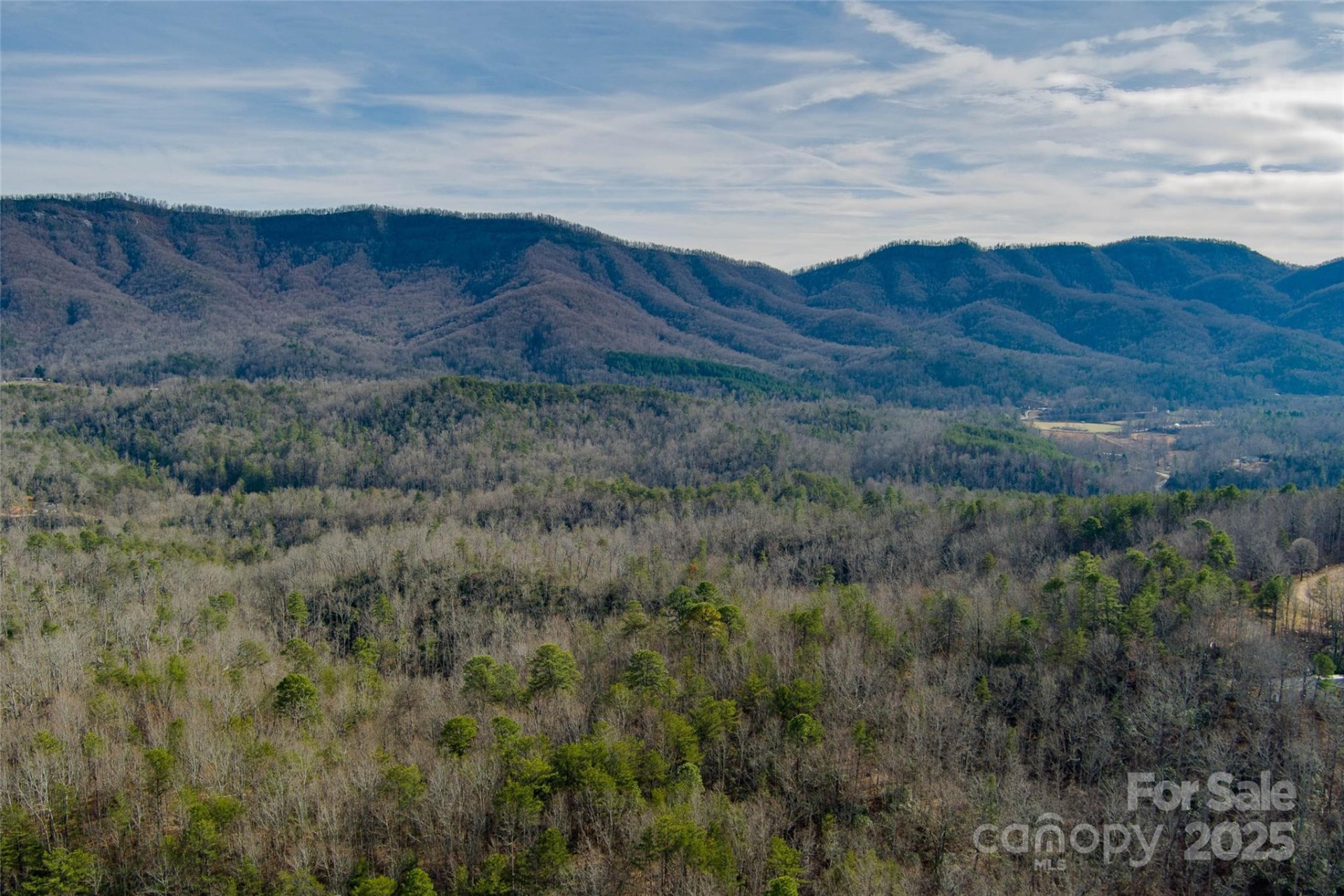 00 Jarrell Loop - Photo 10