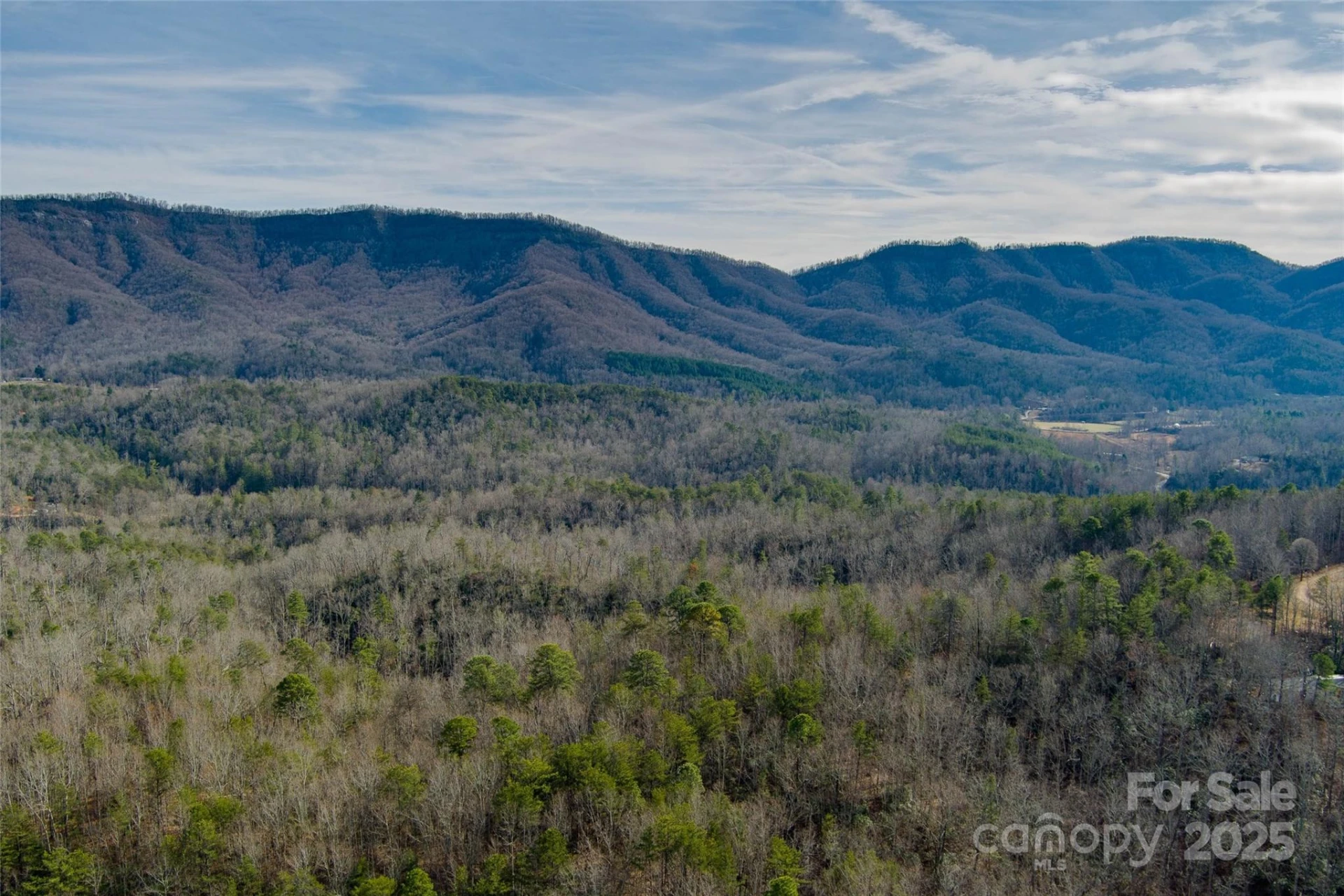 00 Jarrell Loop - Photo 10