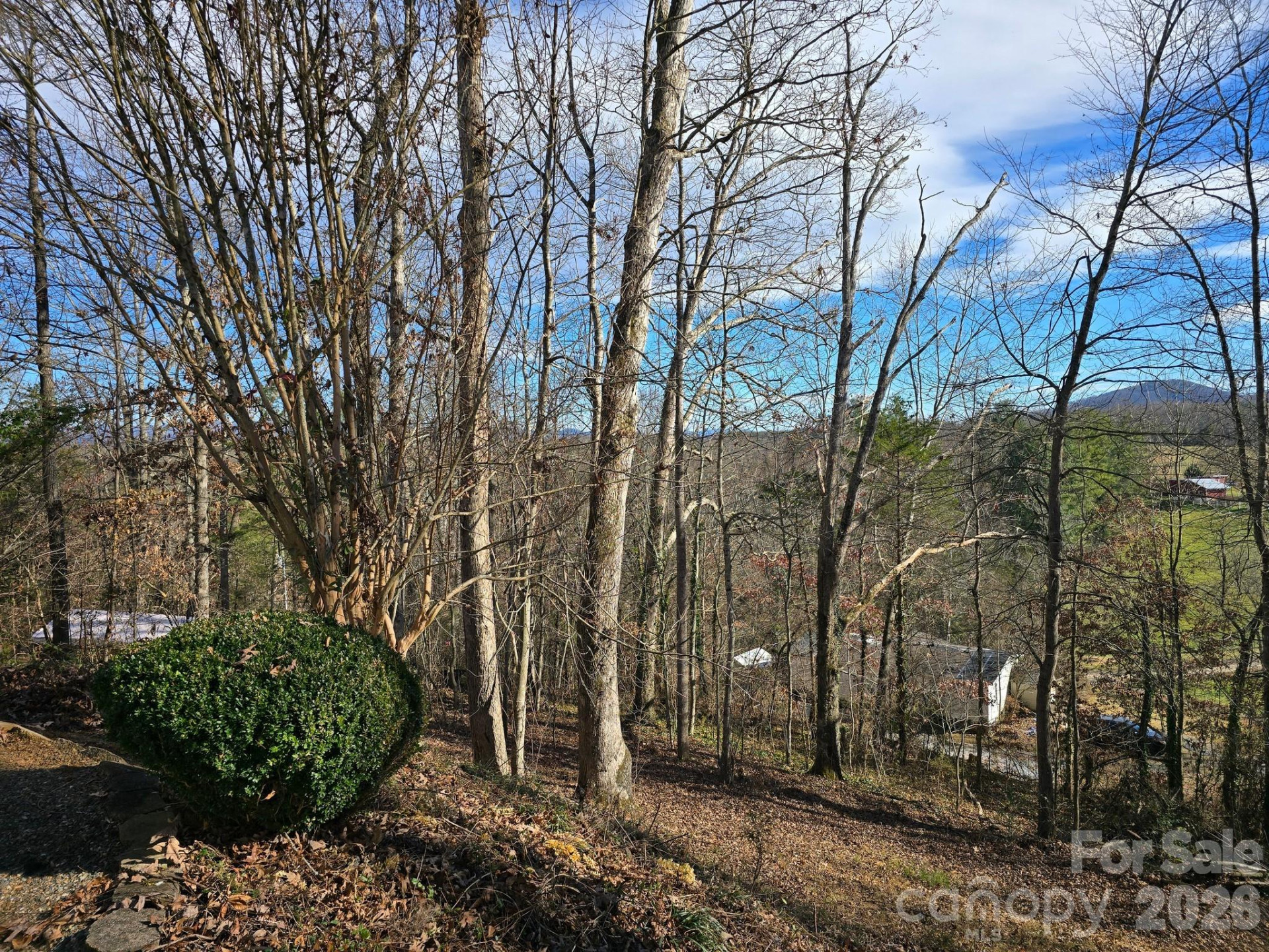 129 Oak Trails Pass - Photo 9