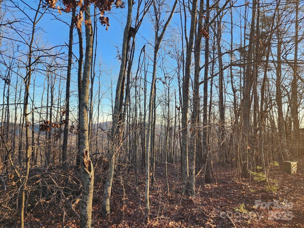 69 Adirondack Lane - Photo 11