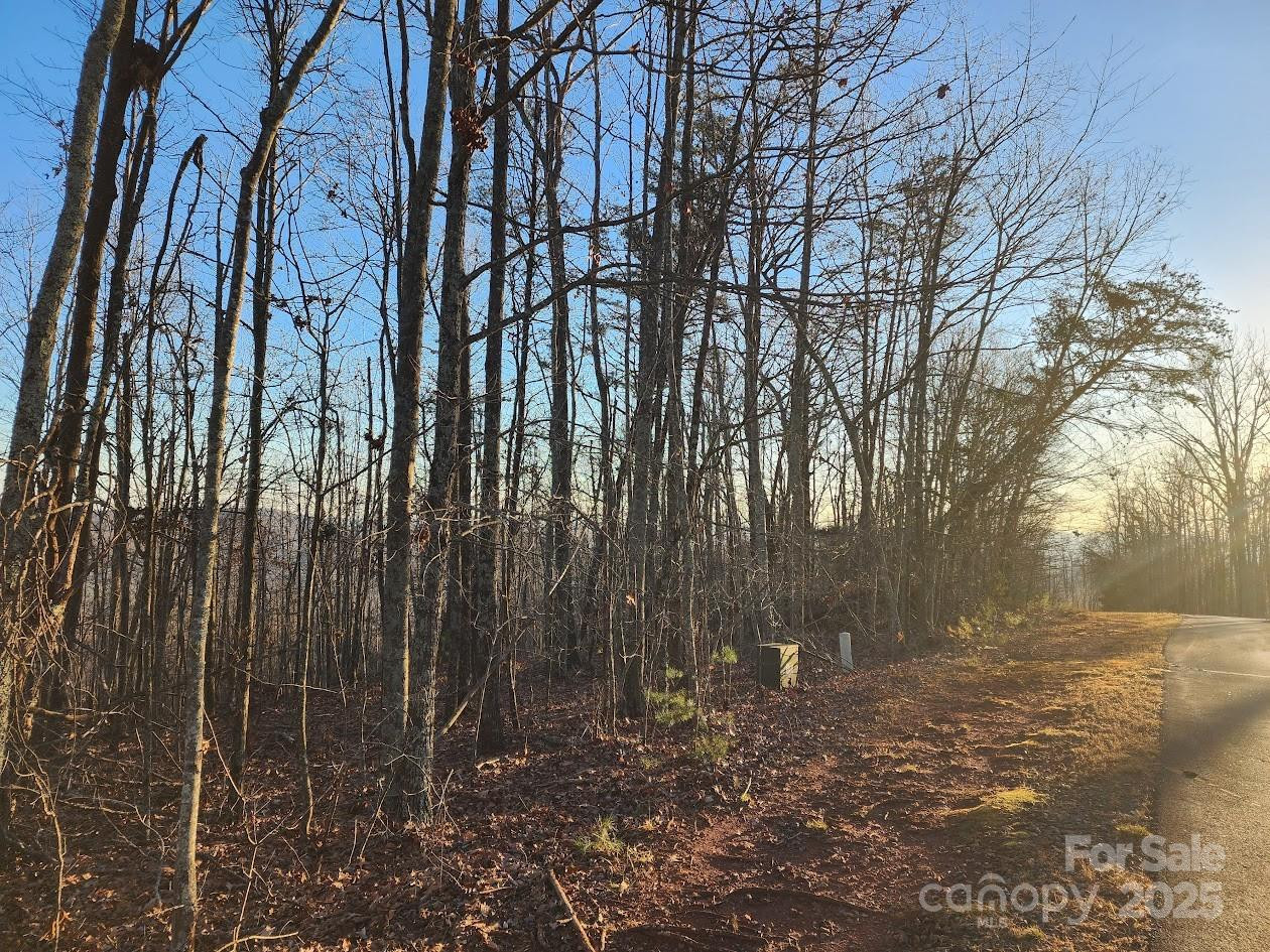 69 Adirondack Lane - Photo 12