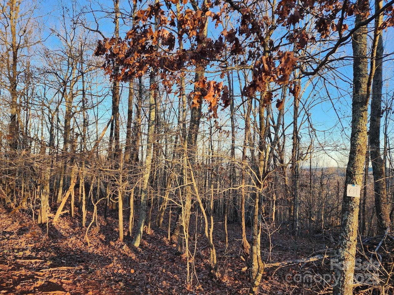 69 Adirondack Lane - Photo 13