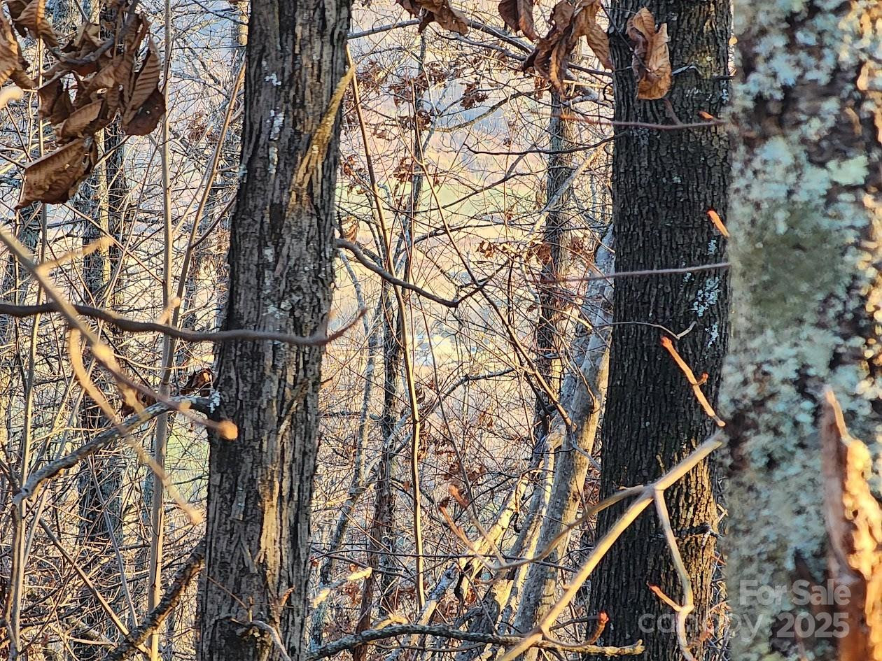 69 Adirondack Lane - Photo 14