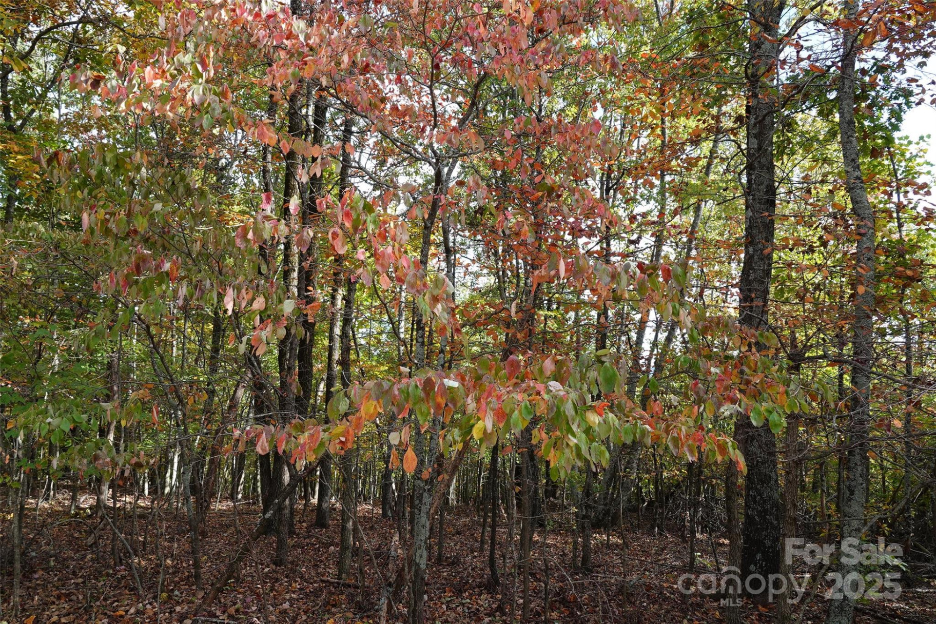 69 Adirondack Lane - Photo 3