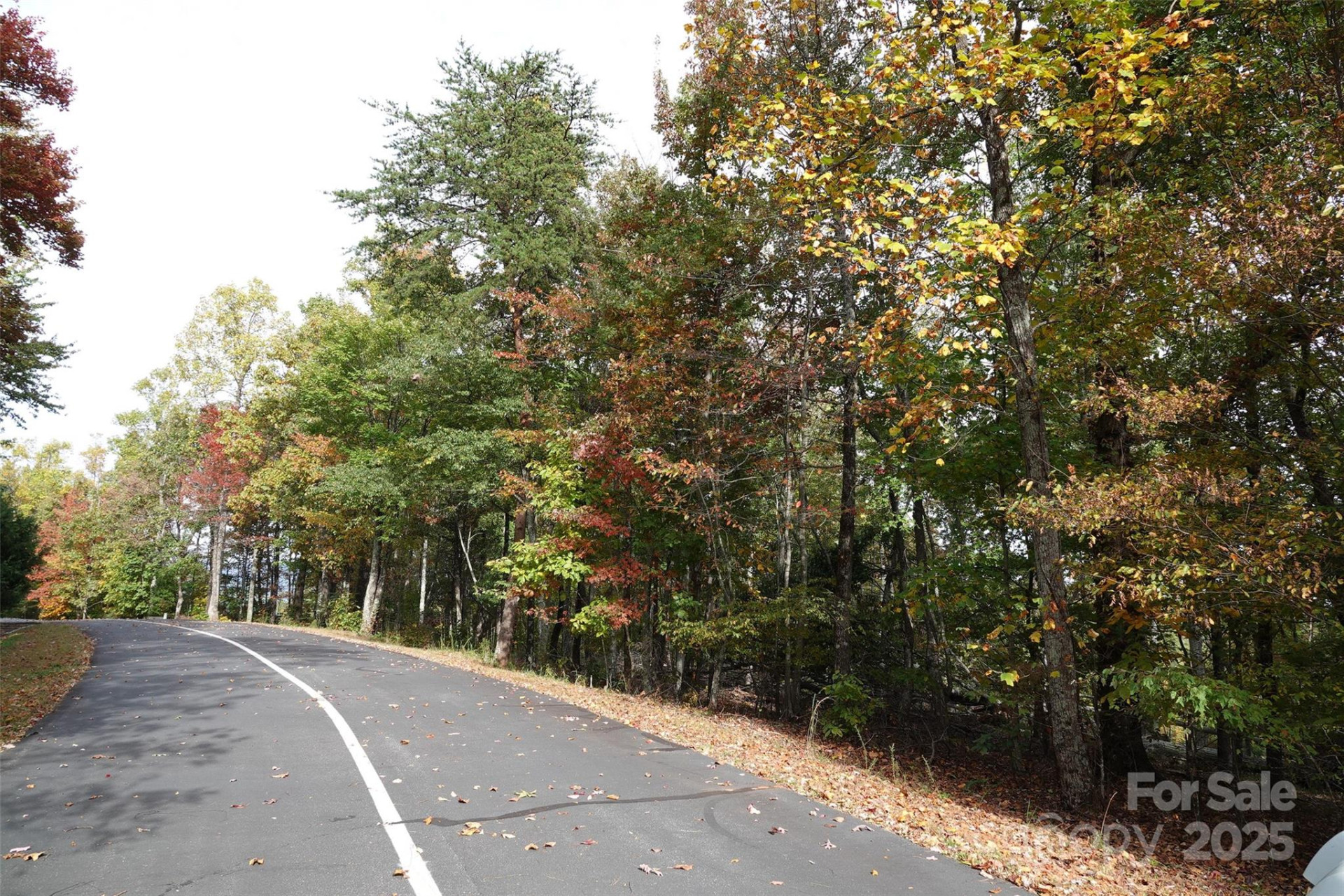 69 Adirondack Lane - Photo 4