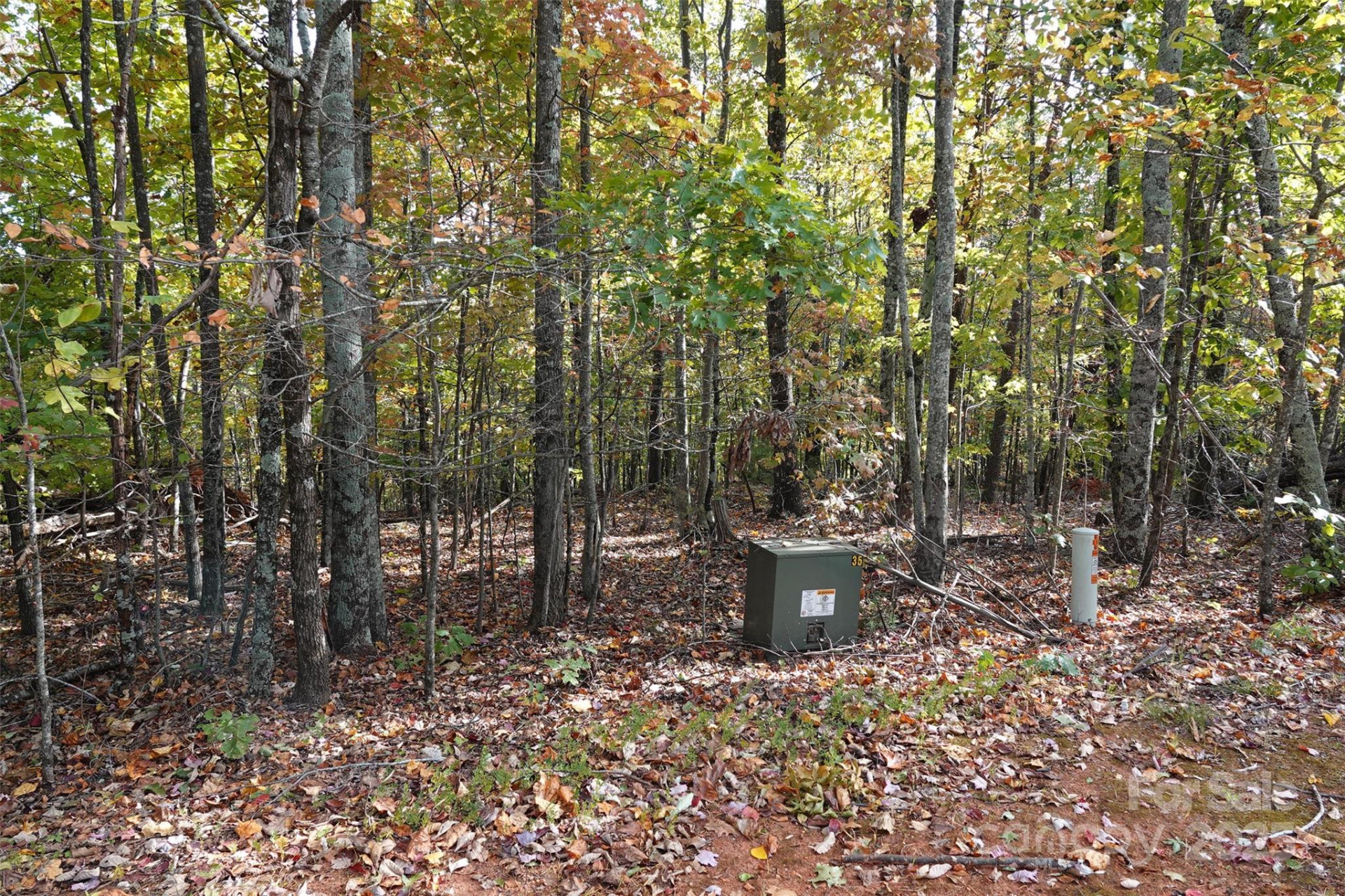 69 Adirondack Lane - Photo 7