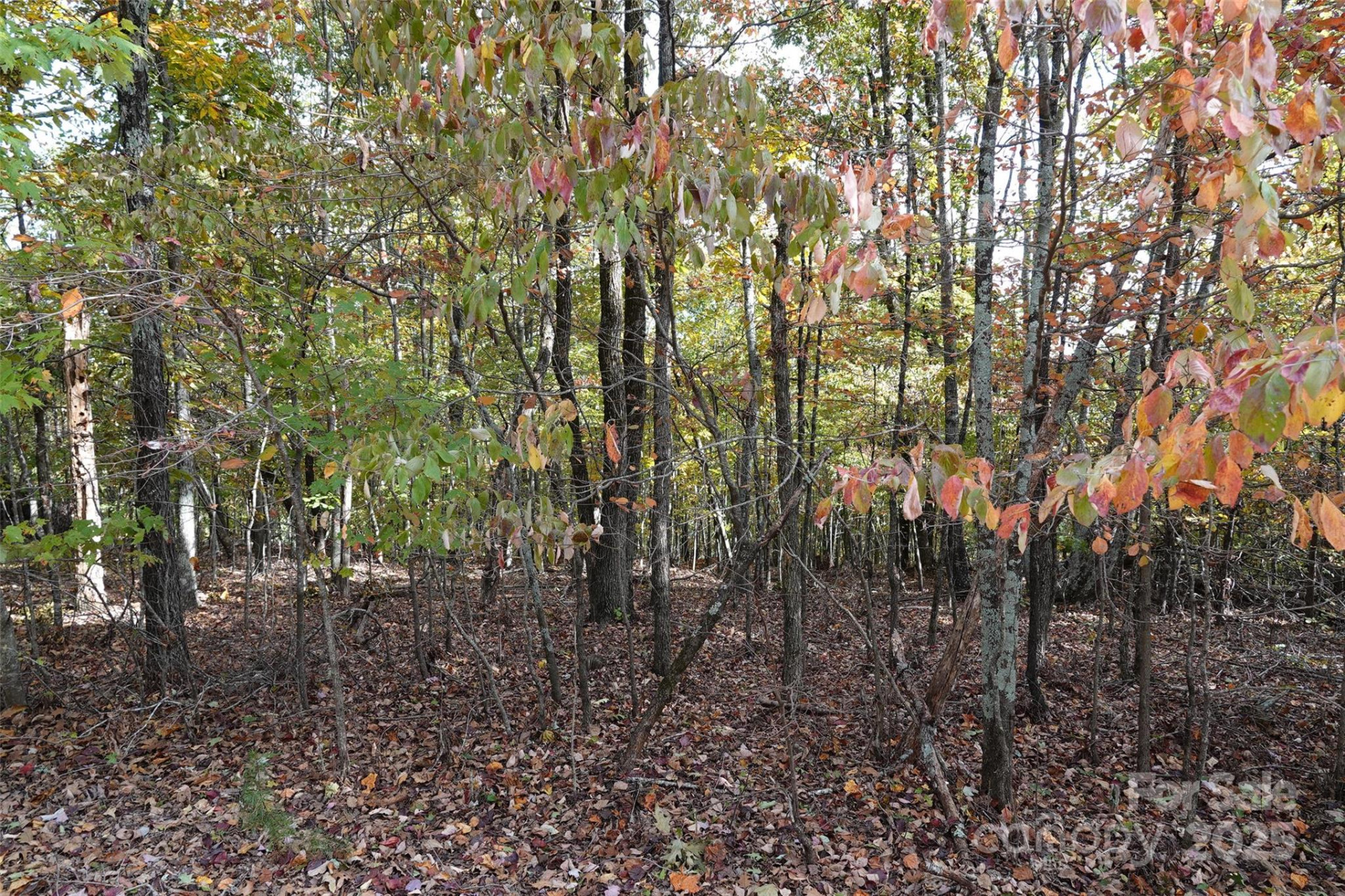 69 Adirondack Lane - Photo 8