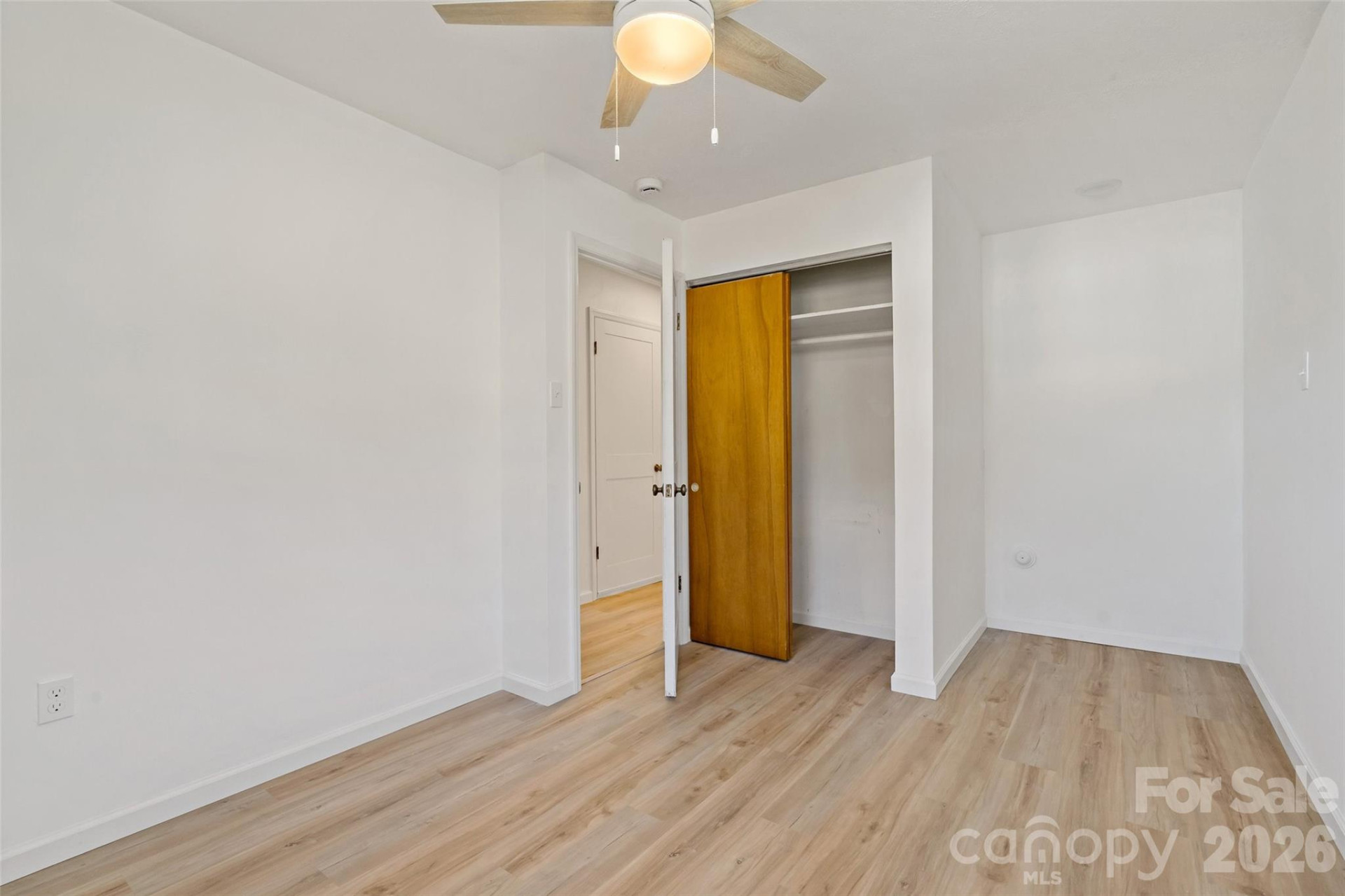 29 Alexander Street - Photo 29
