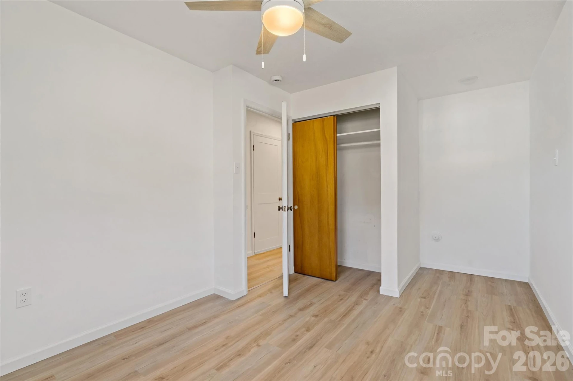 29 Alexander Street - Photo 29