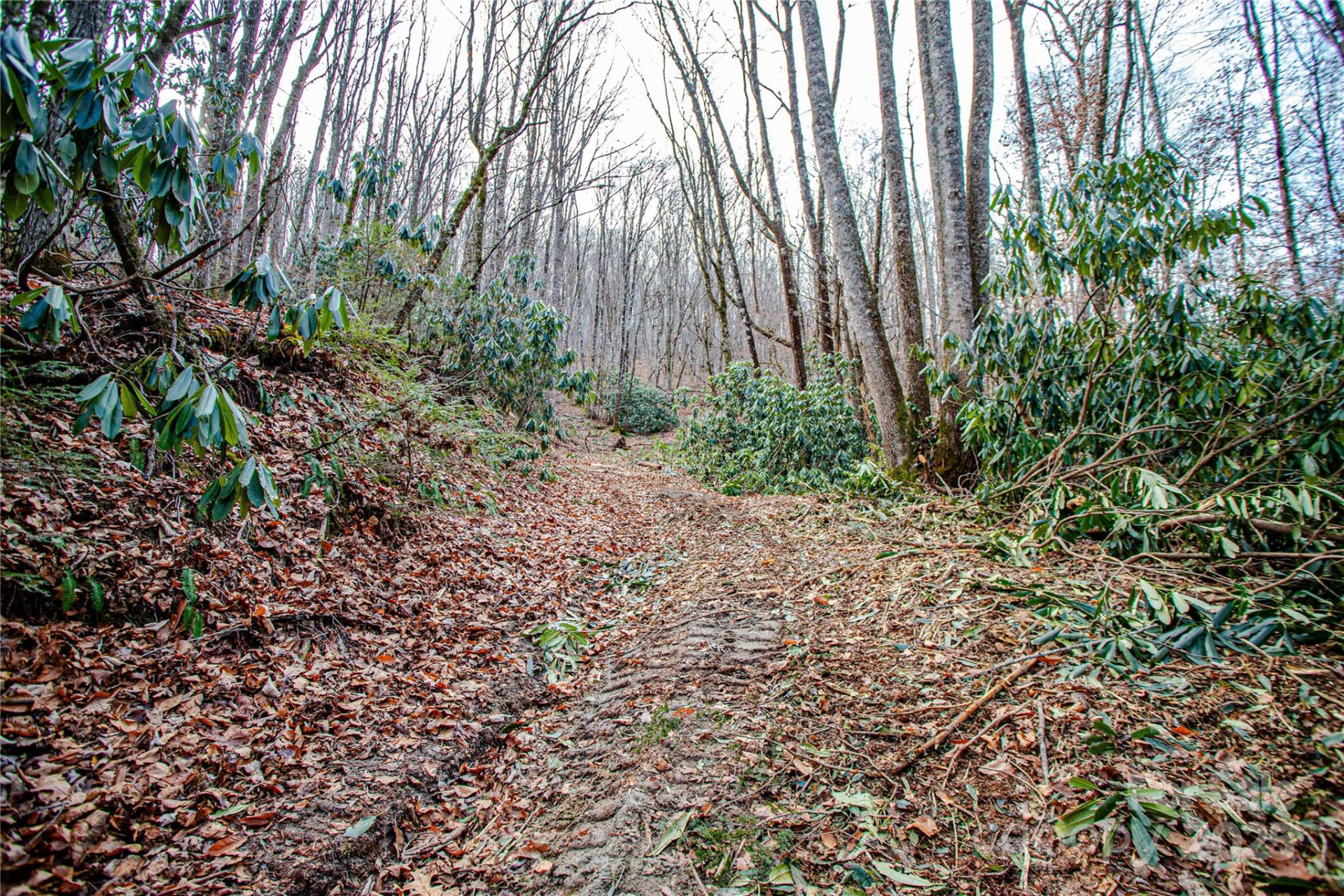 TBD Tannassee Creek Road - Photo 12