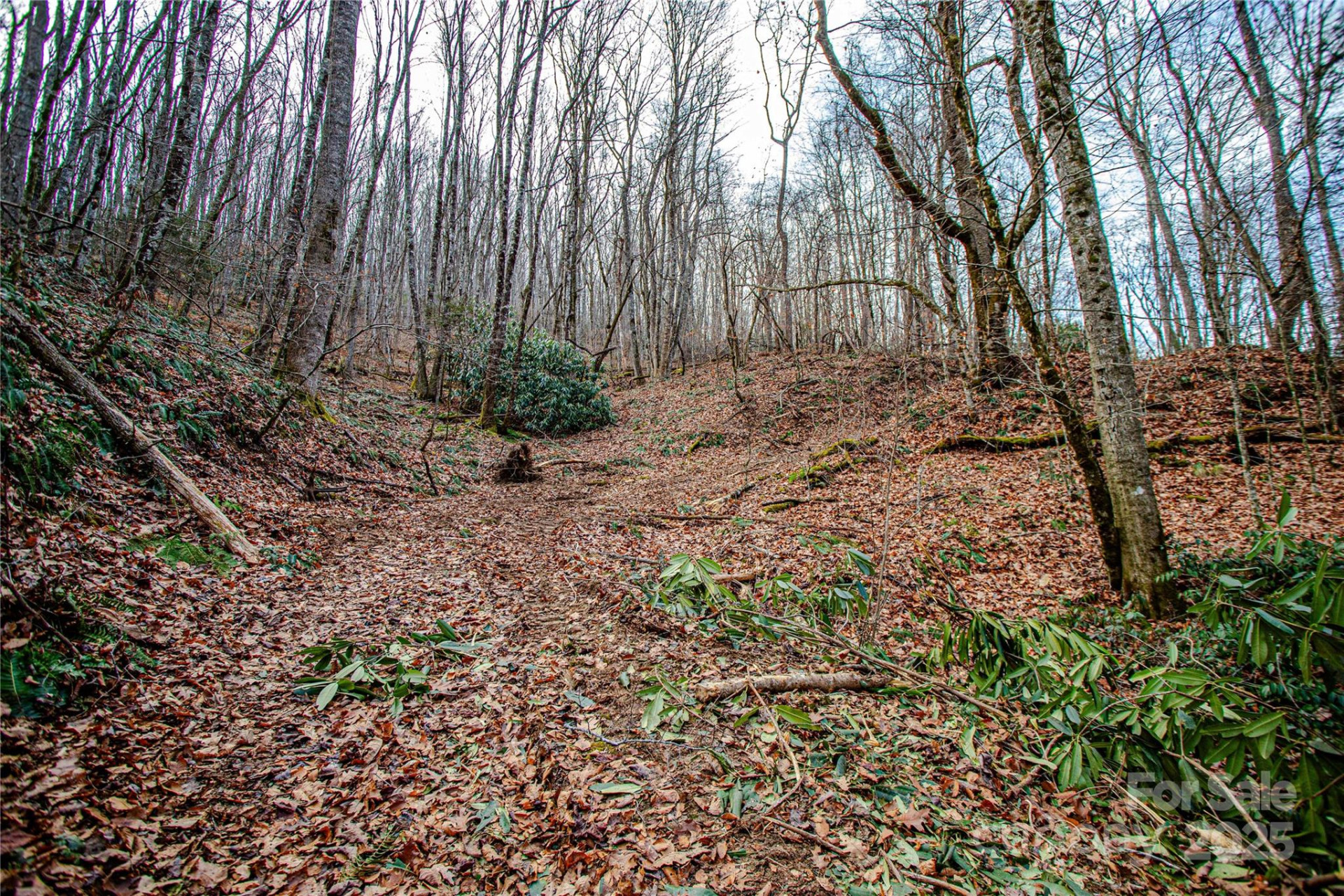 TBD Tannassee Creek Road - Photo 13