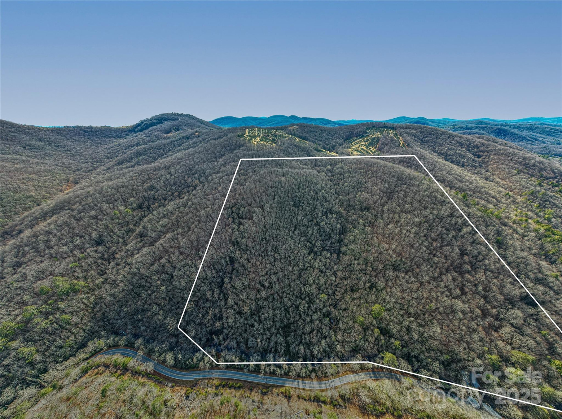 TBD Tannassee Creek Road - Photo 14