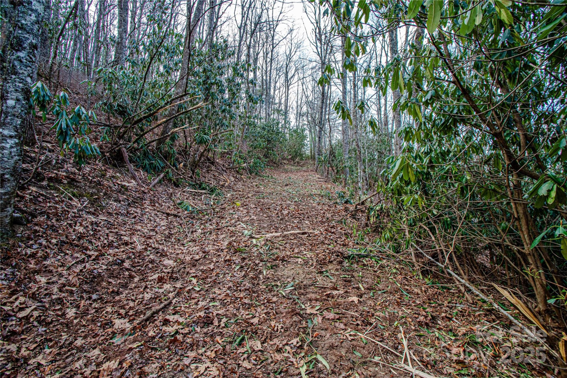 TBD Tannassee Creek Road - Photo 16