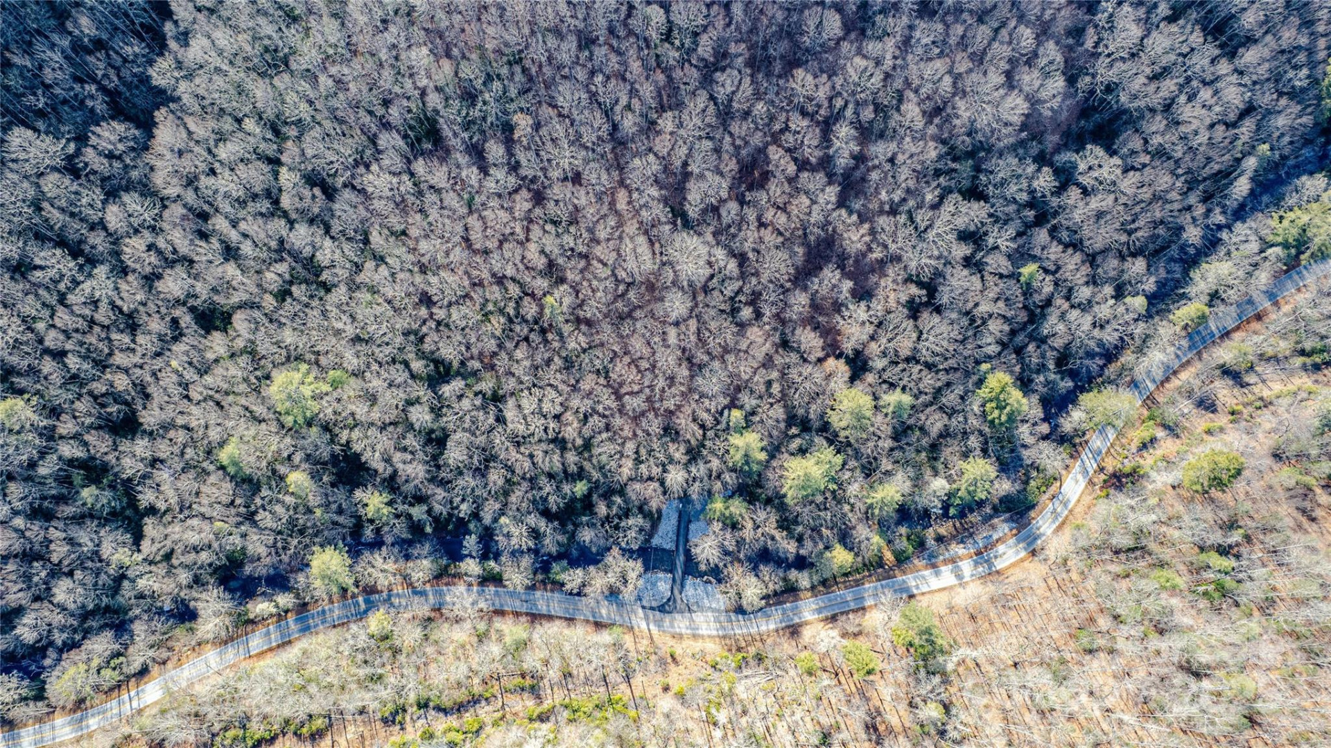 TBD Tannassee Creek Road - Photo 17