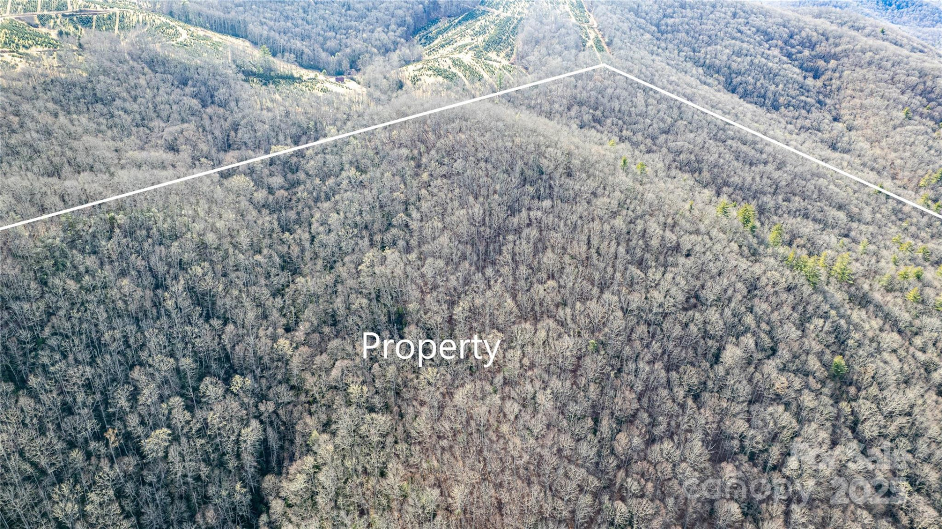 TBD Tannassee Creek Road - Photo 18