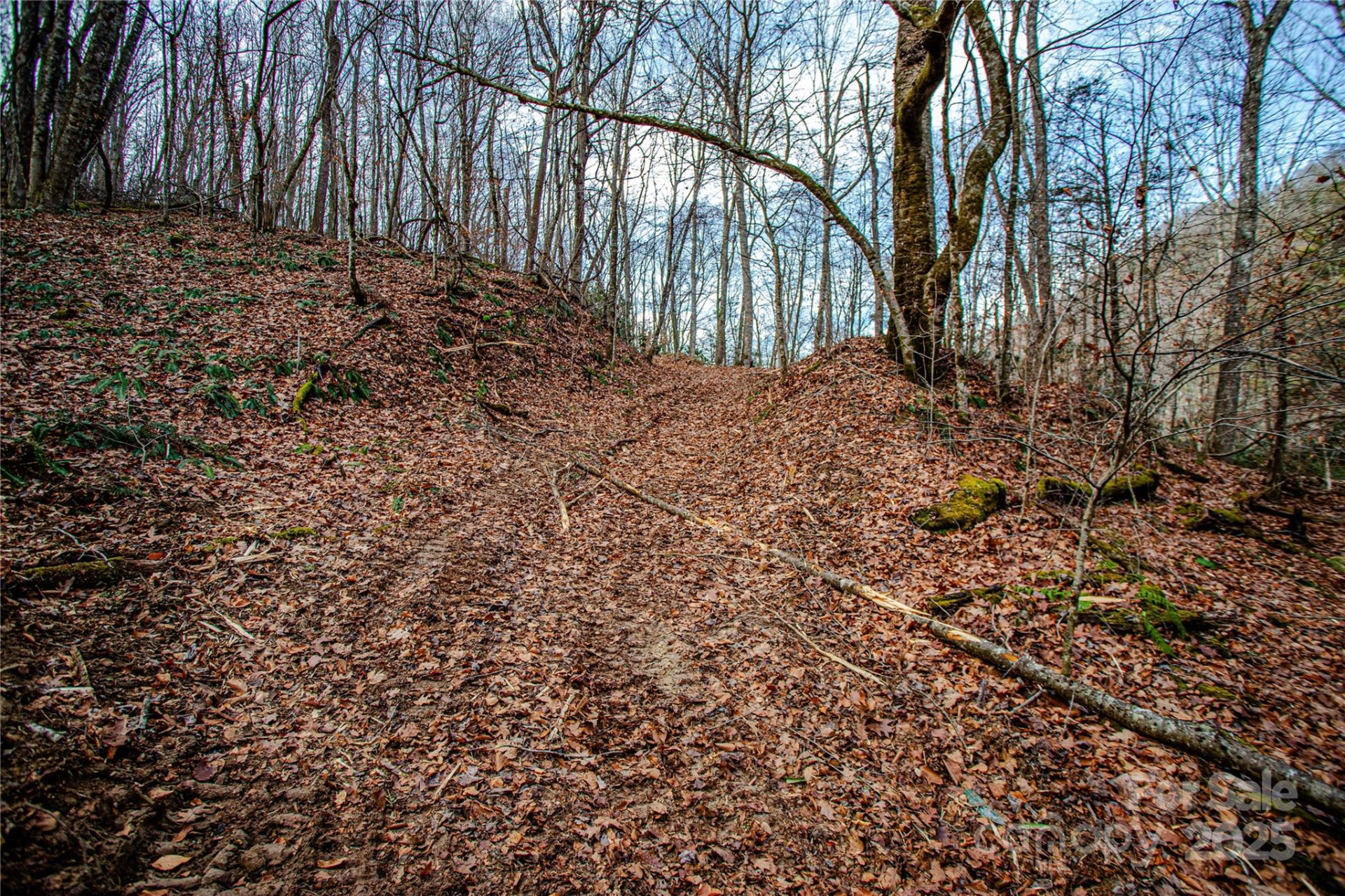 TBD Tannassee Creek Road - Photo 19