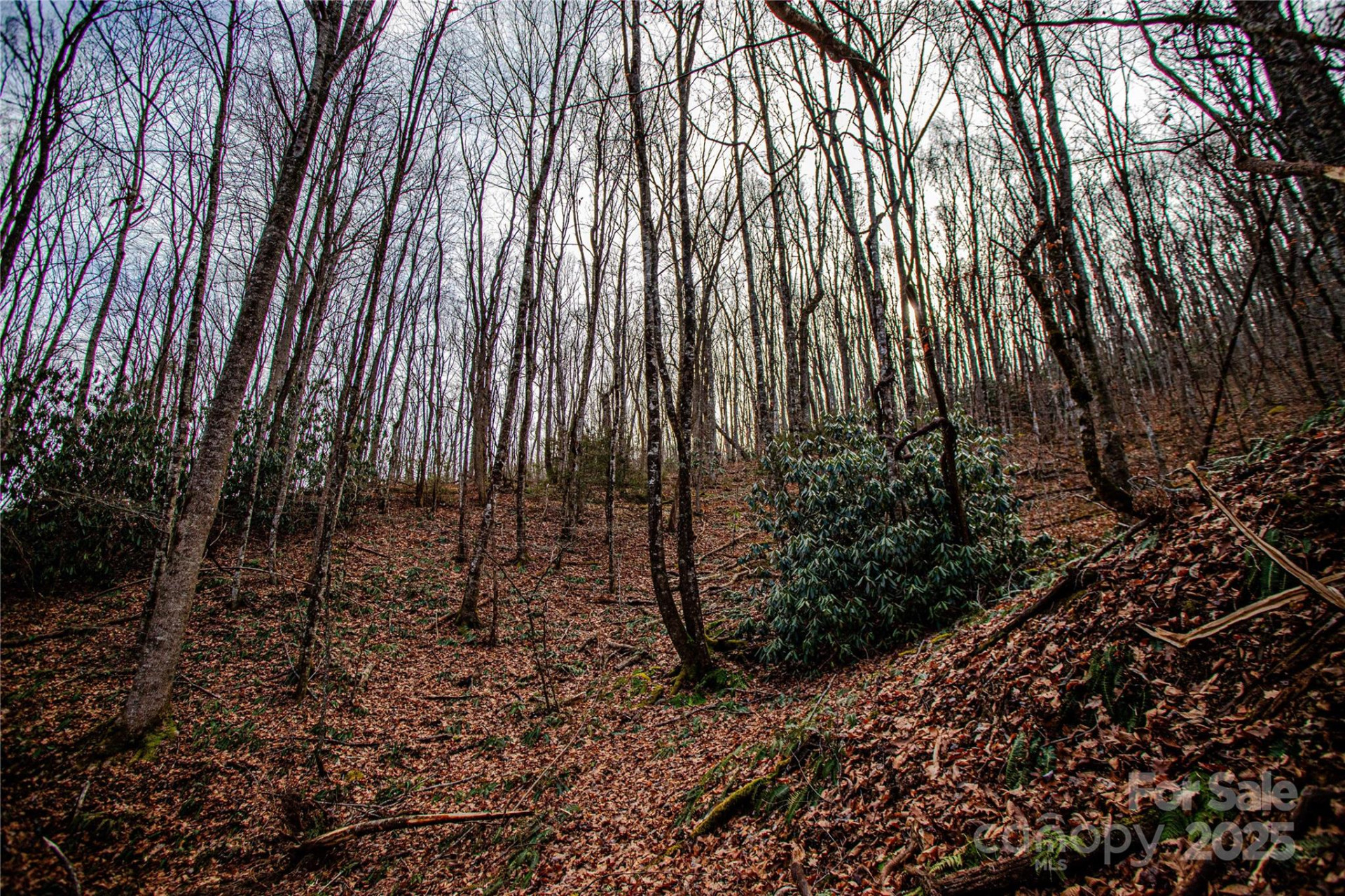 TBD Tannassee Creek Road - Photo 20