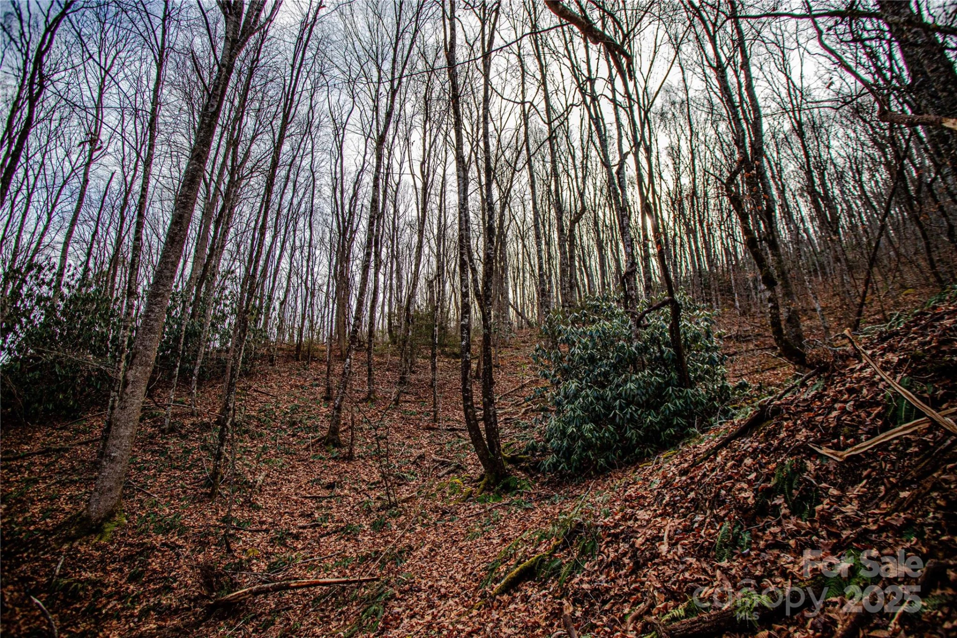 TBD Tannassee Creek Road - Photo 20