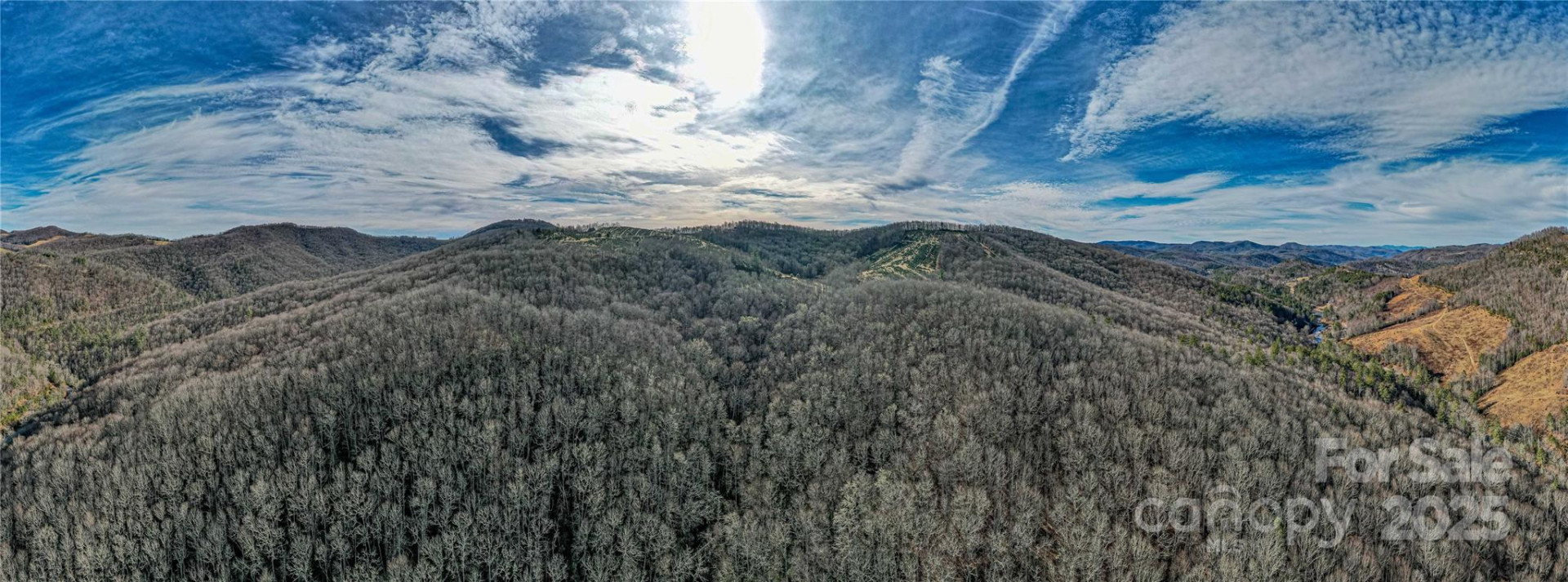 TBD Tannassee Creek Road - Photo 3