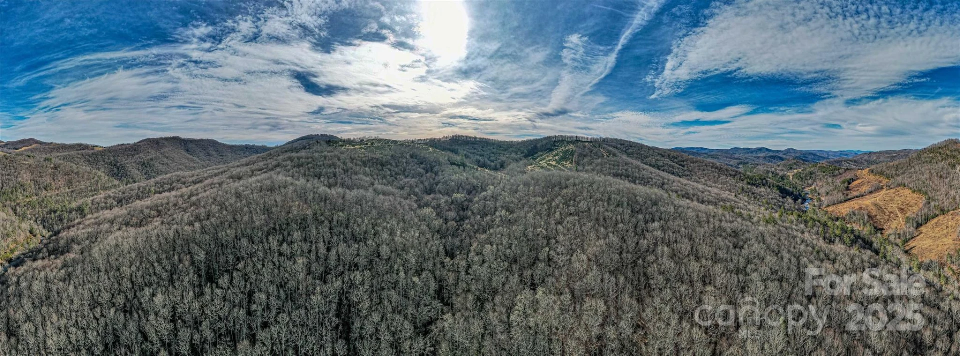 TBD Tannassee Creek Road - Photo 3
