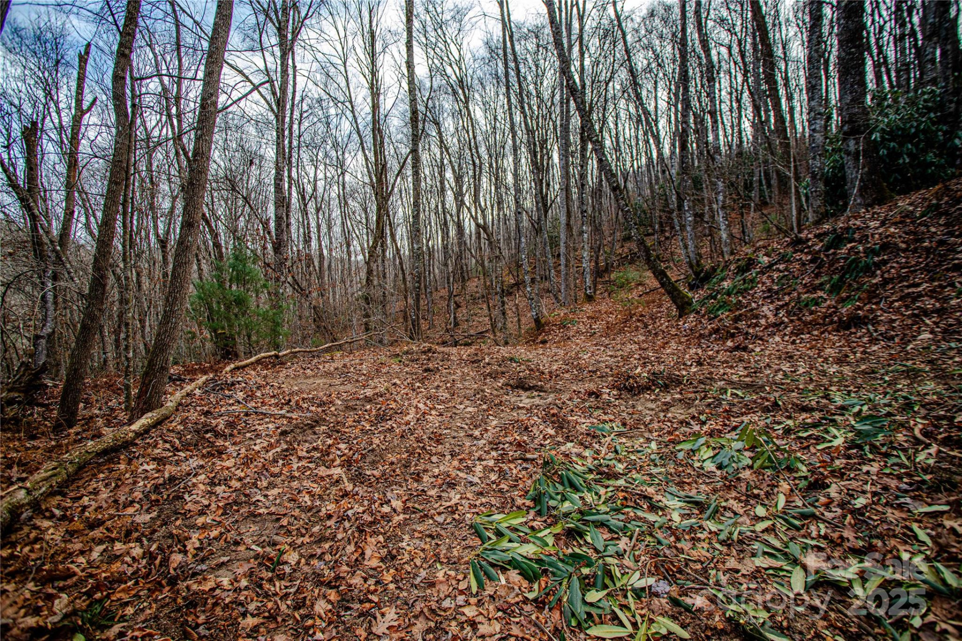 TBD Tannassee Creek Road - Photo 21