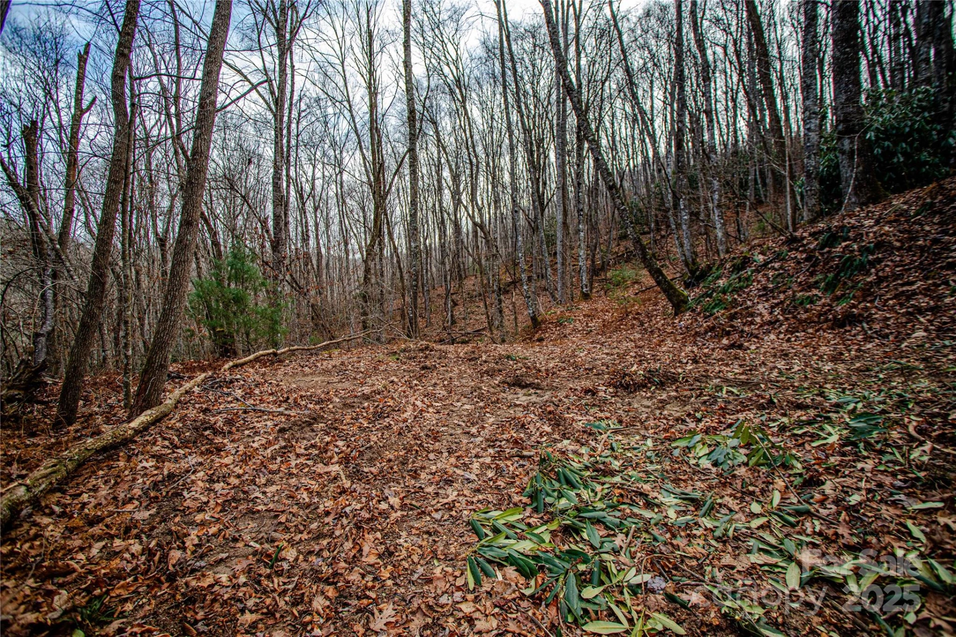 TBD Tannassee Creek Road - Photo 21