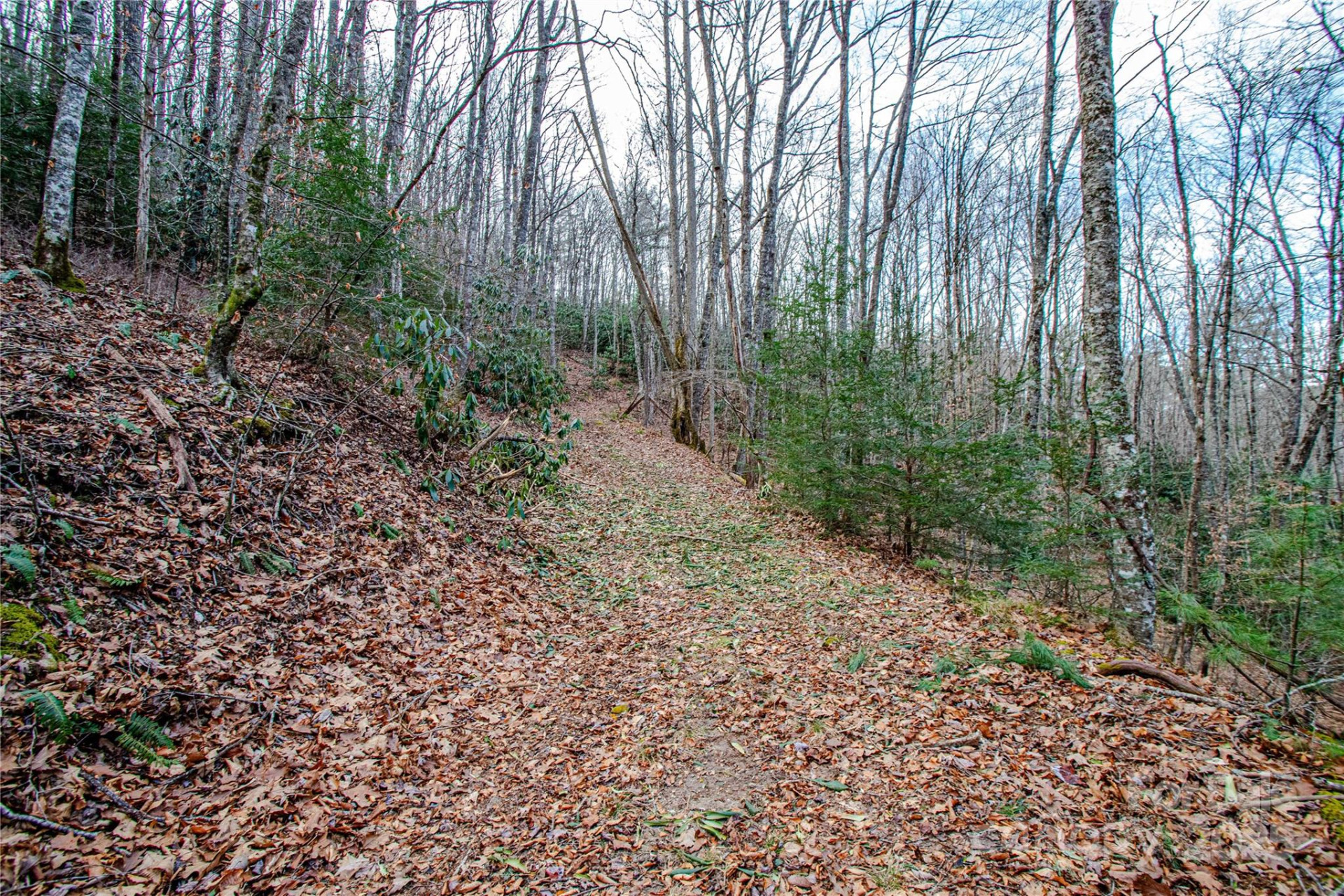 TBD Tannassee Creek Road - Photo 22