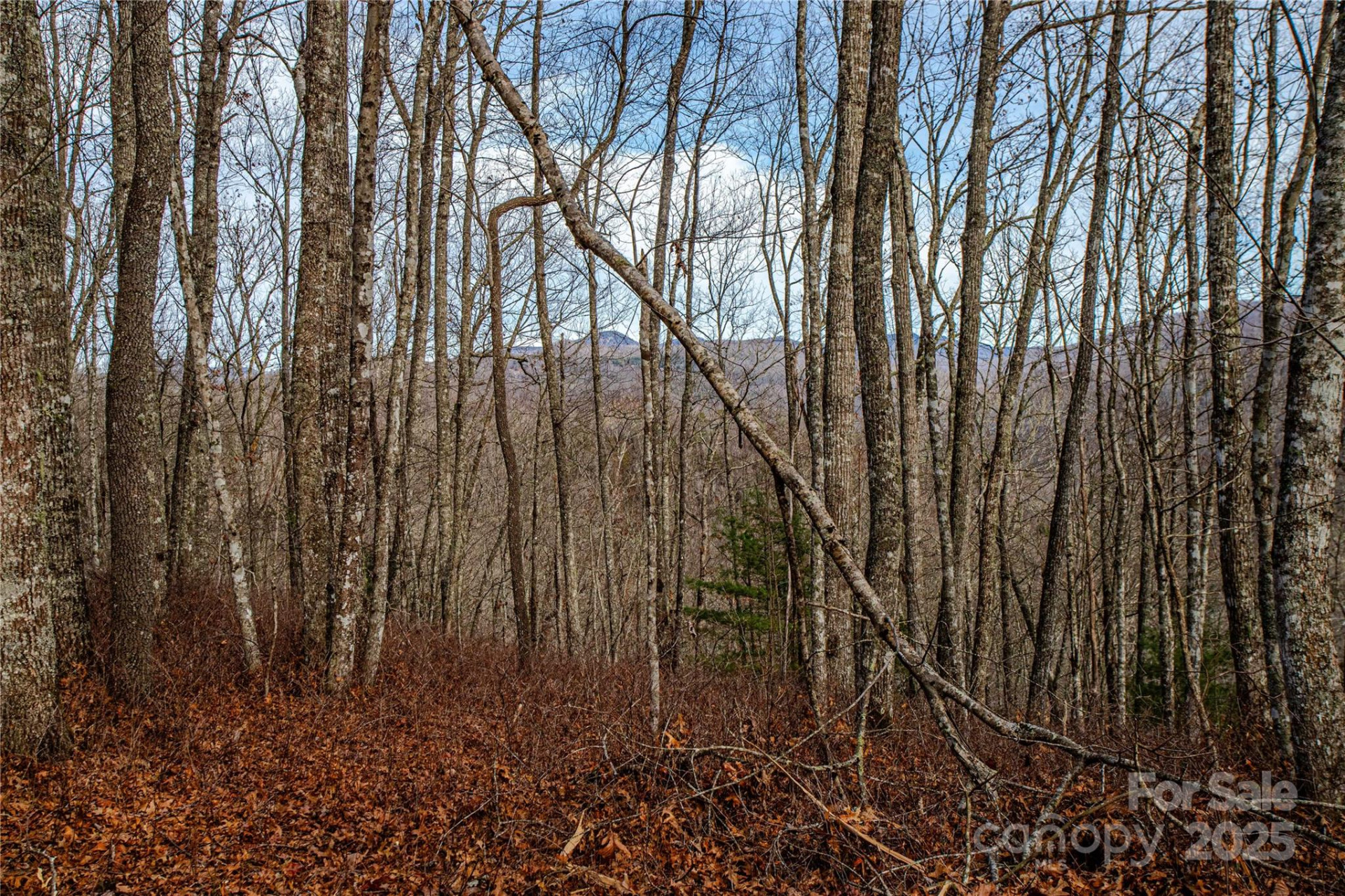 TBD Tannassee Creek Road - Photo 24