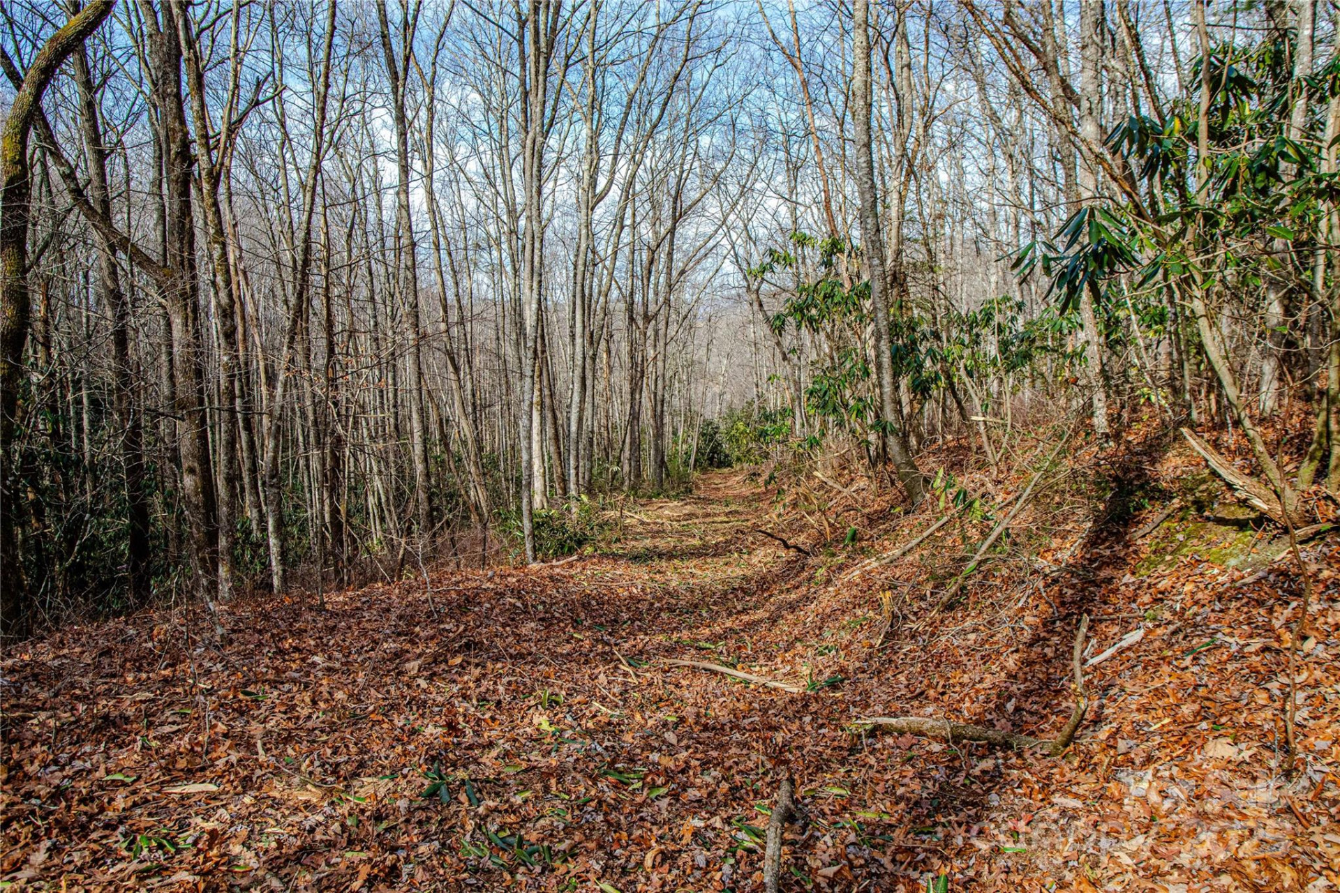 TBD Tannassee Creek Road - Photo 25