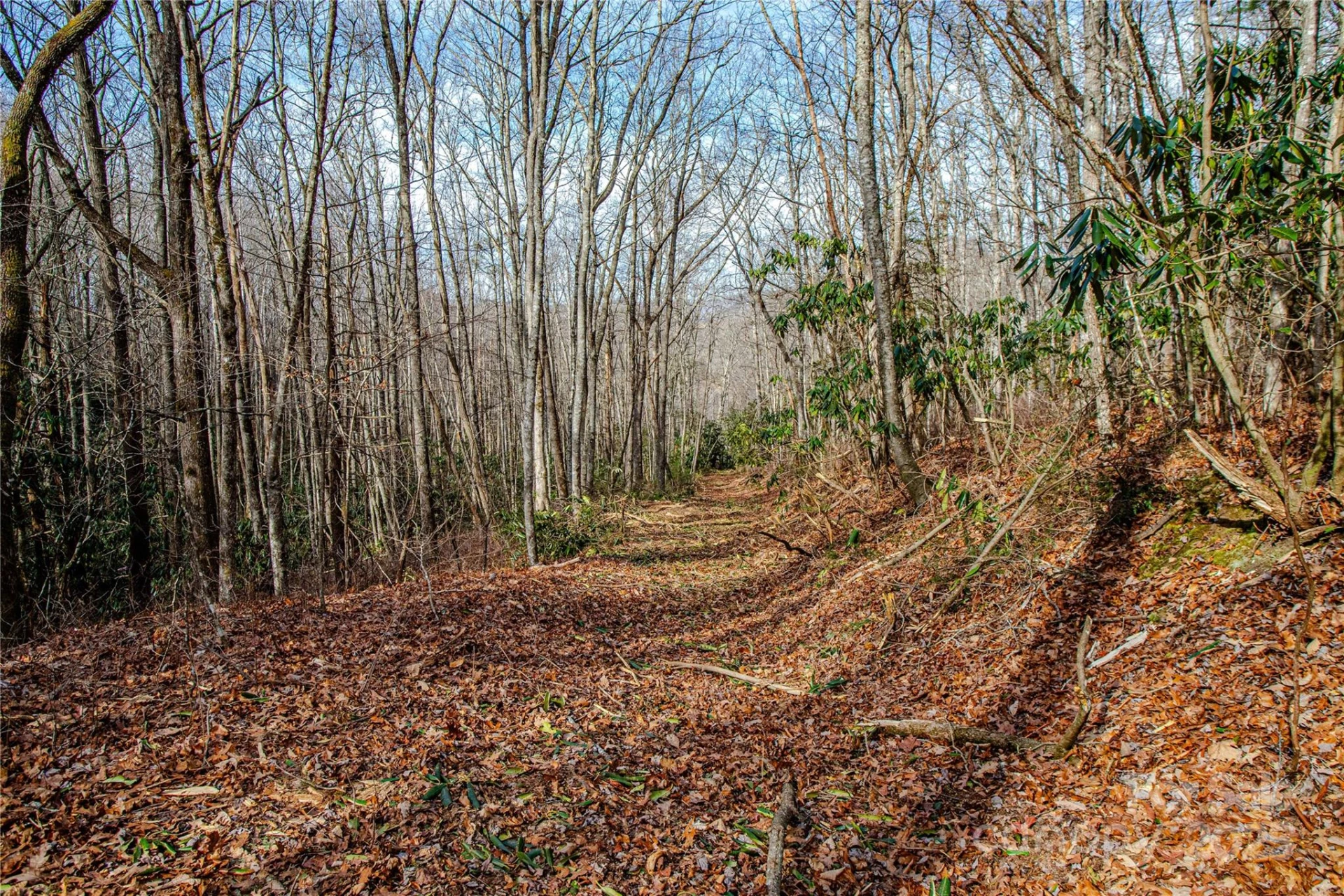 TBD Tannassee Creek Road - Photo 25
