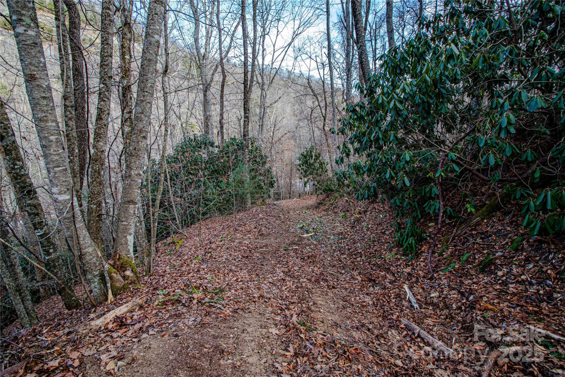 TBD Tannassee Creek Road - Photo 27