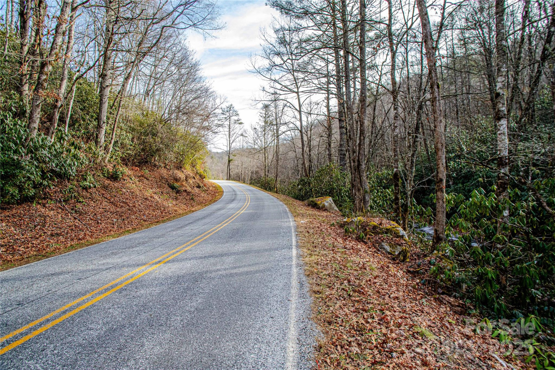 TBD Tannassee Creek Road - Photo 29