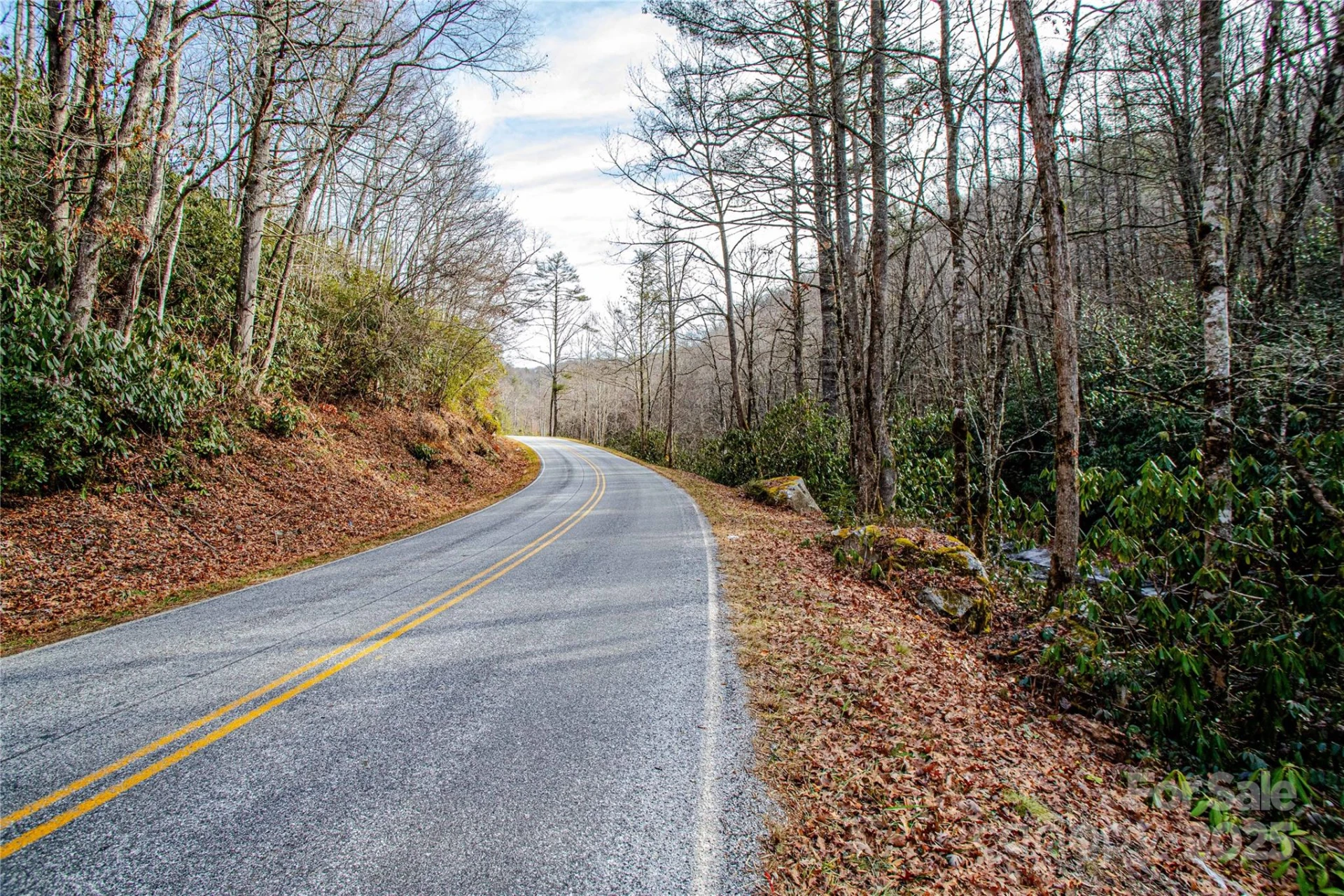 TBD Tannassee Creek Road - Photo 29