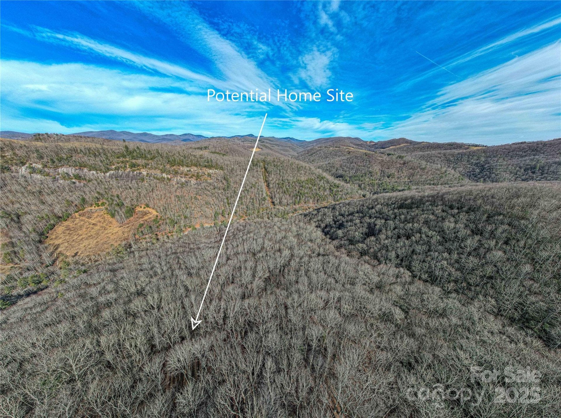 TBD Tannassee Creek Road - Photo 6