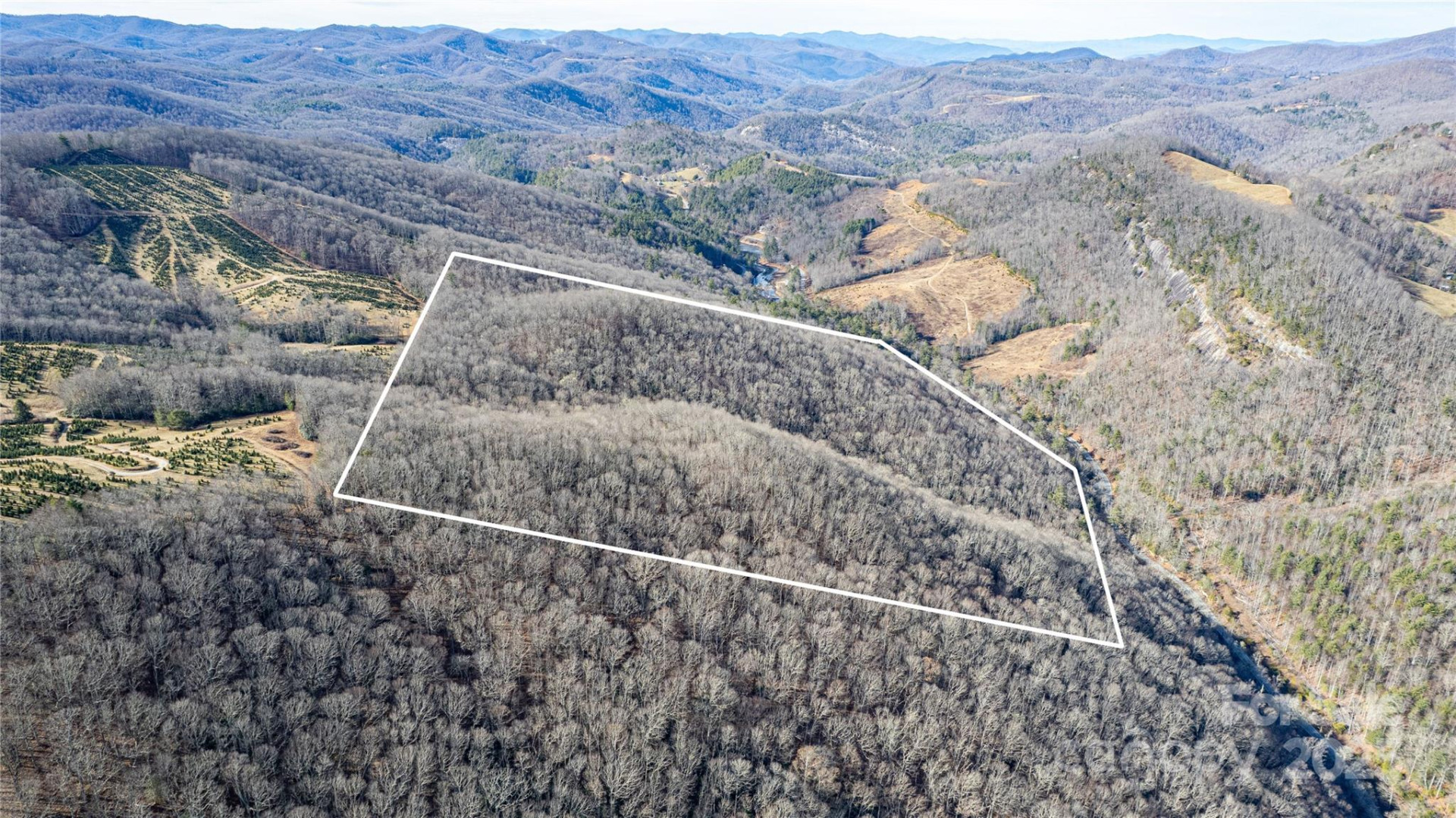 TBD Tannassee Creek Road - Photo 7