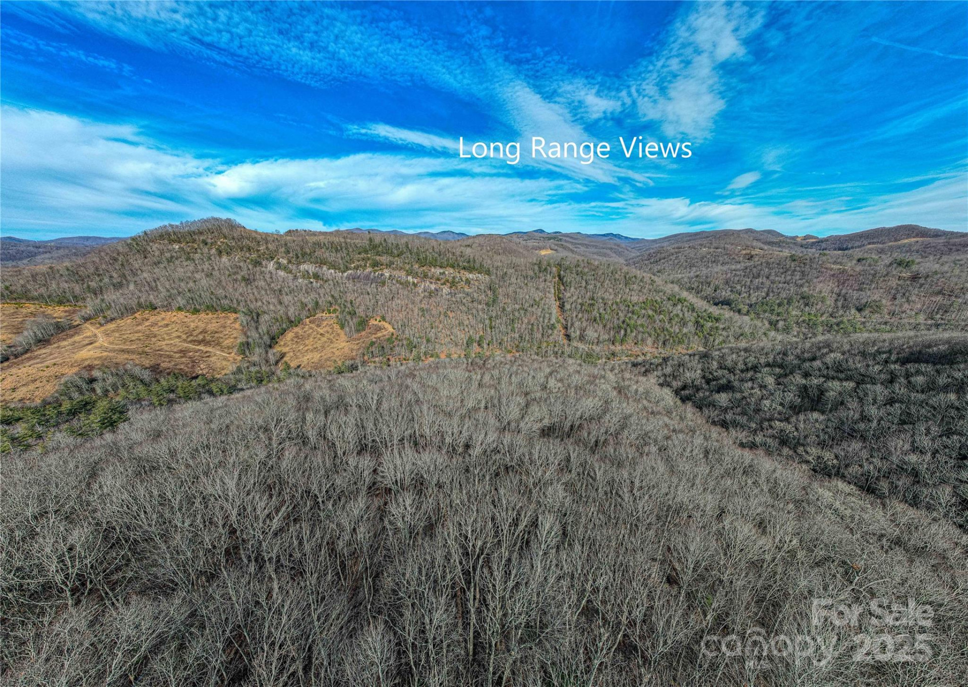 TBD Tannassee Creek Road - Photo 8