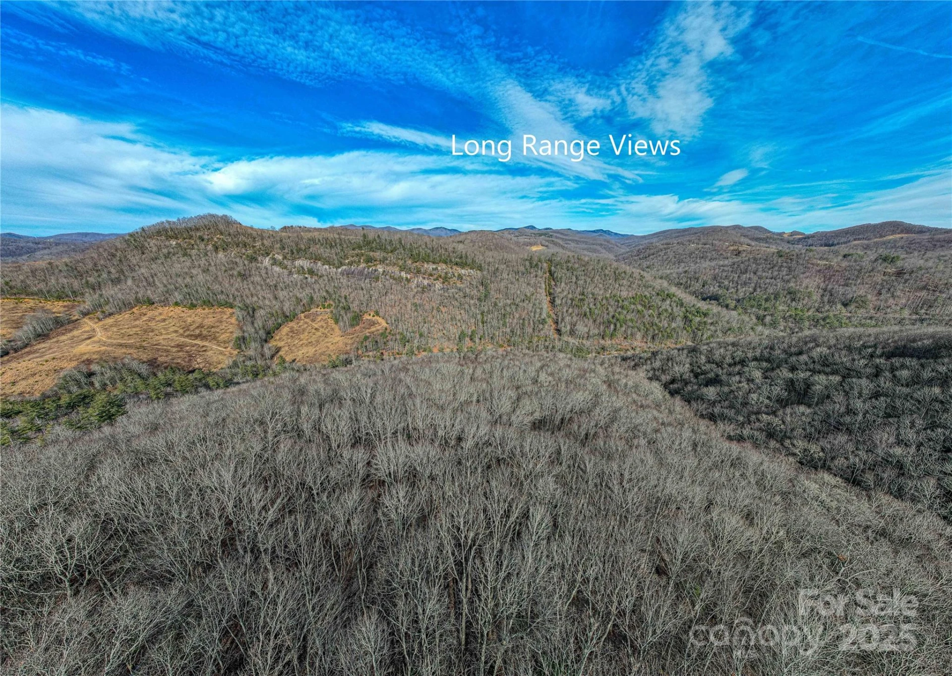TBD Tannassee Creek Road - Photo 8