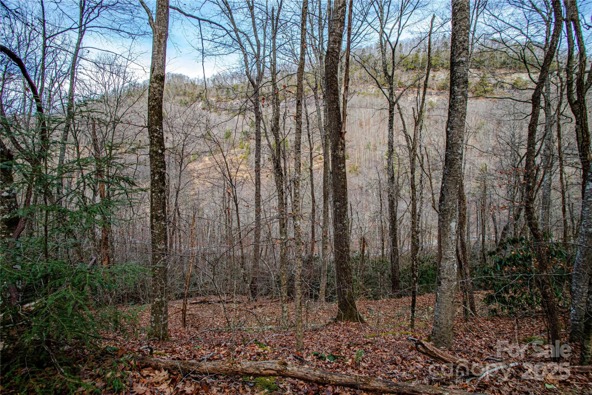 TBD Tannassee Creek Road - Photo 9